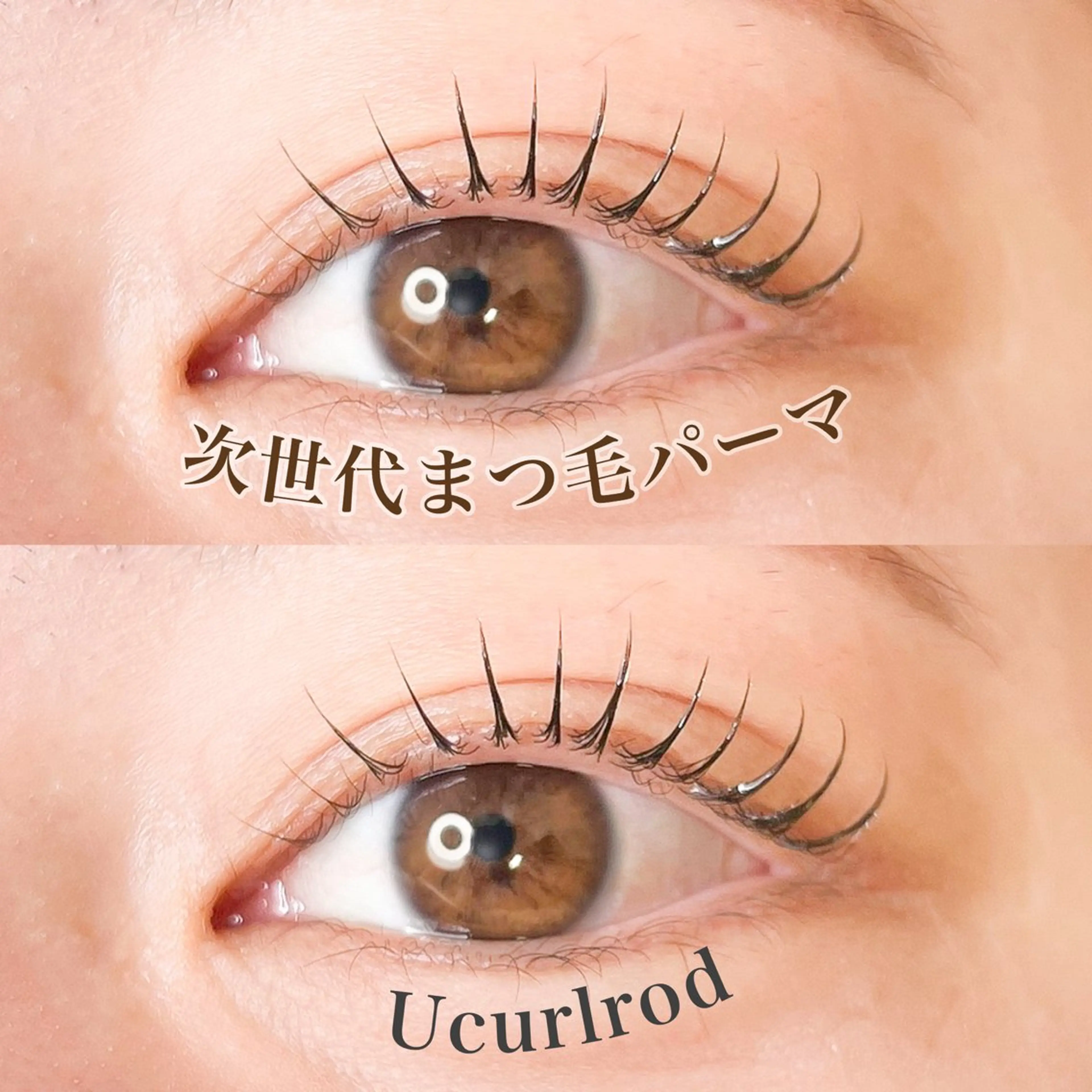 マツエク・マツパ 一重×まつ毛パーマ 早川 桜妃のマツエク・マツパデザイン