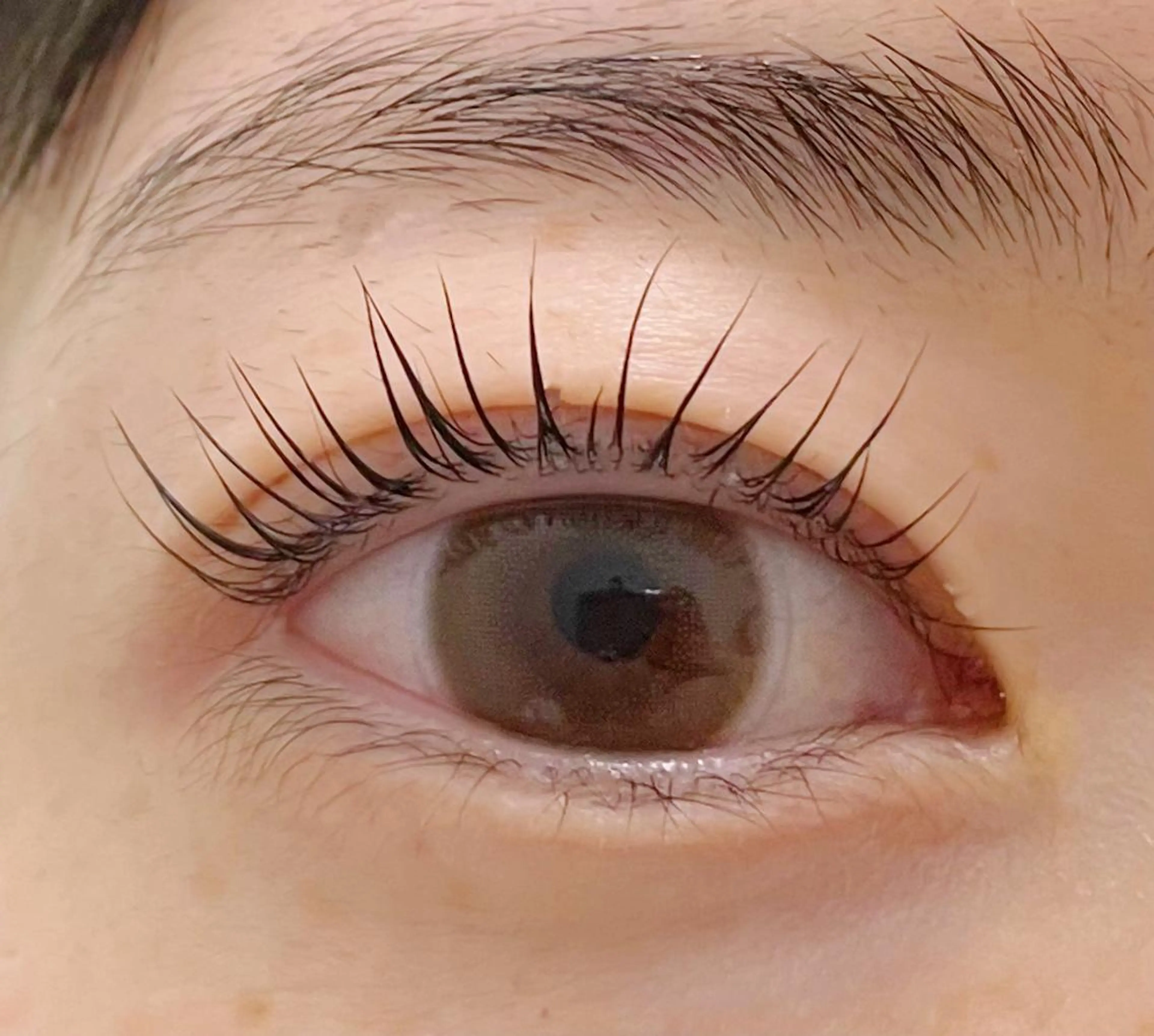 マツエク・マツパ Rich to所属・Rich to🤍 furutaのマツエク・マツパデザイン