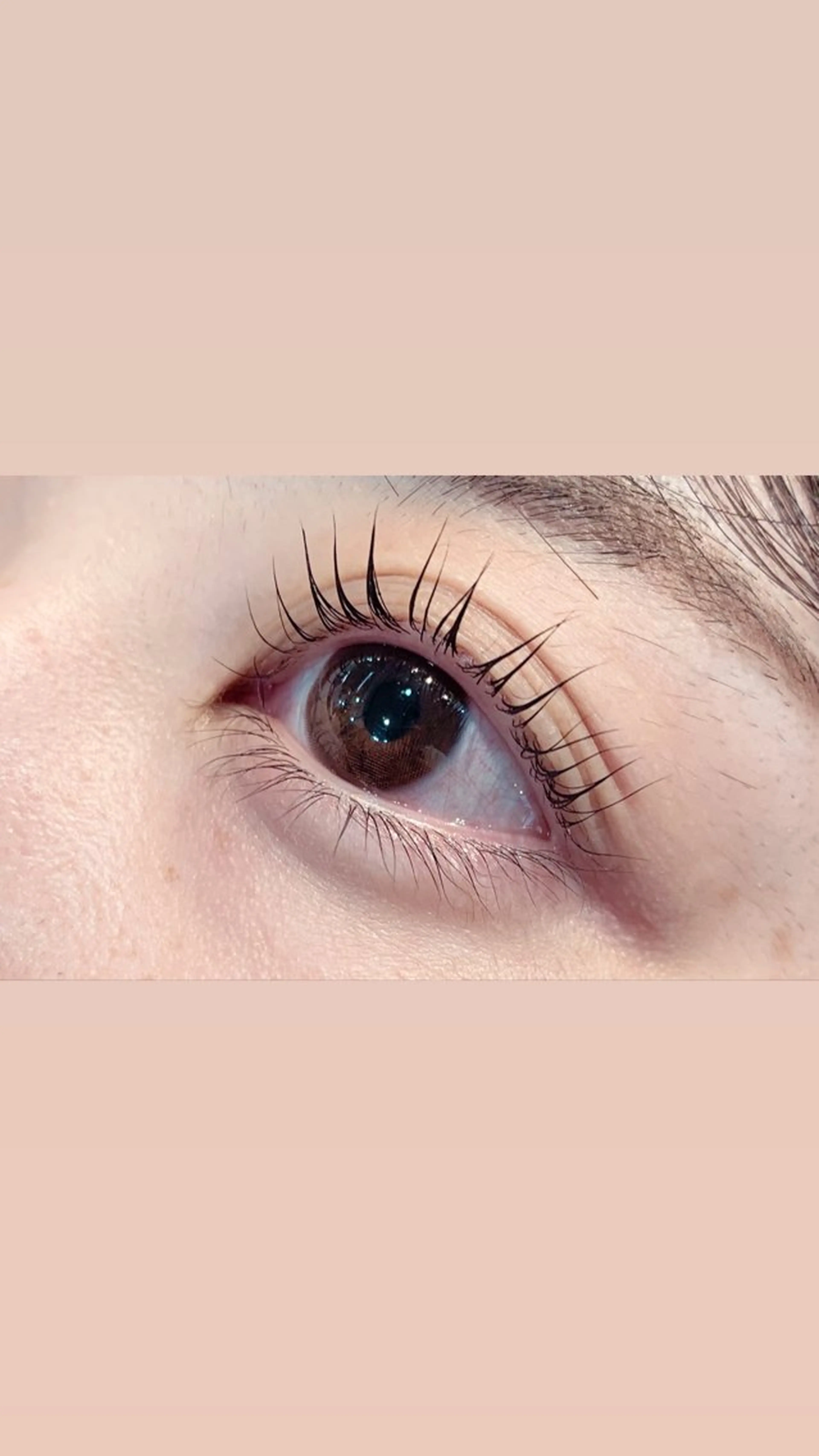 マツエク・マツパ パリジェンヌラッシュリフト hirakawa makoのマツエク・マツパデザイン