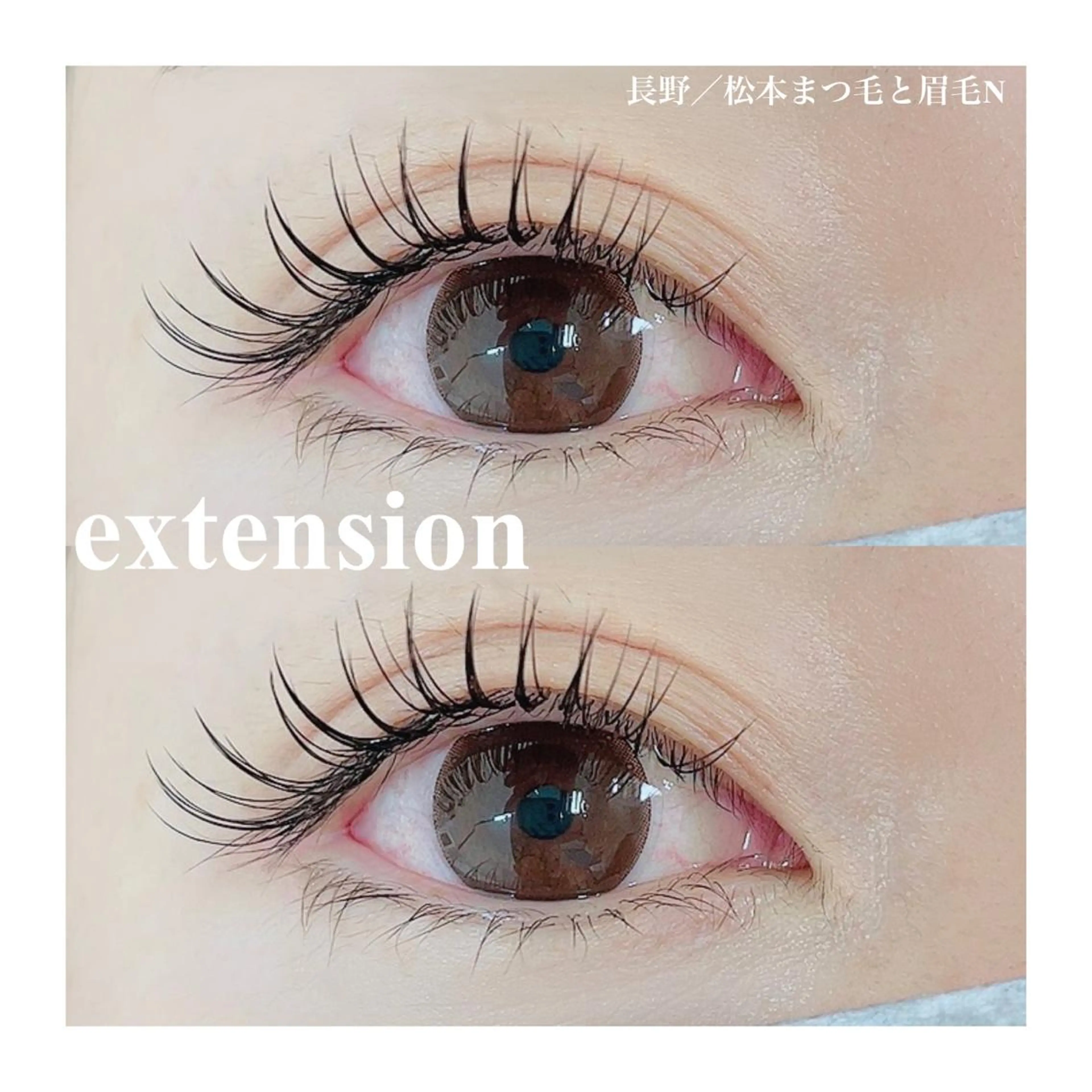 最高級セーヴル120本【初回限定価格】の写真