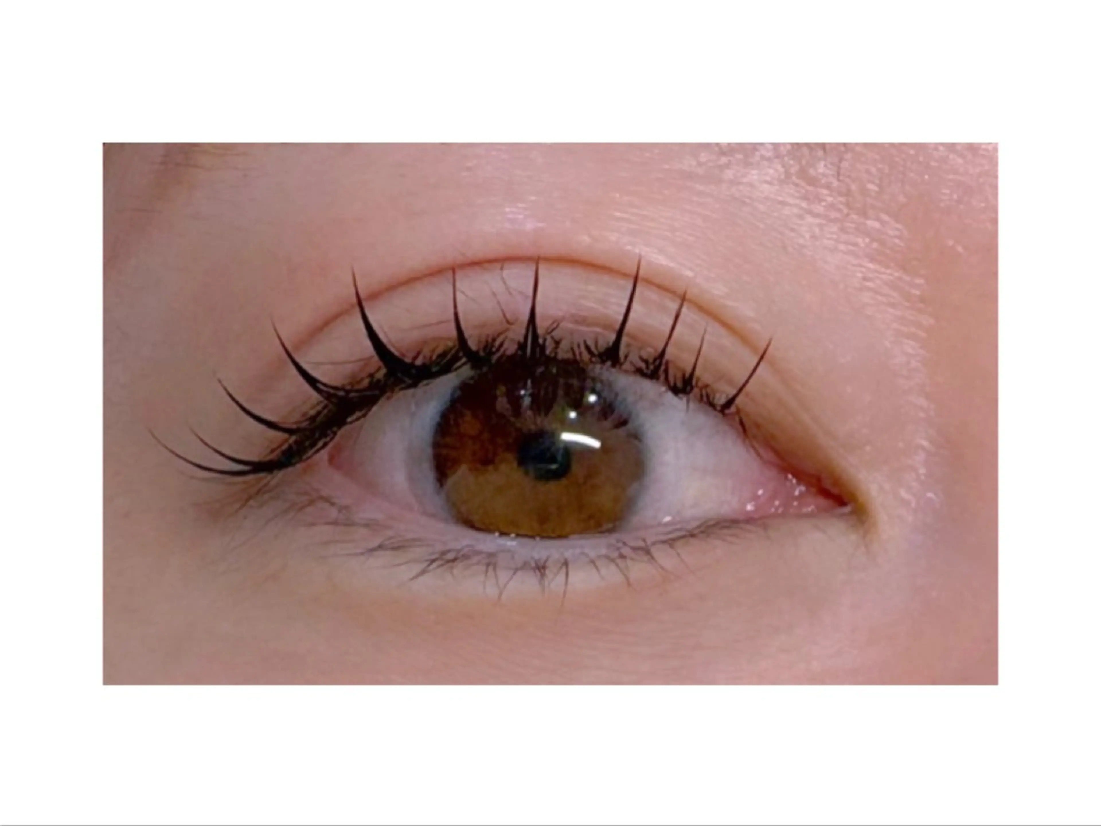 オフ無料☆フラットラッシュ140本　¥9350→¥7800の写真