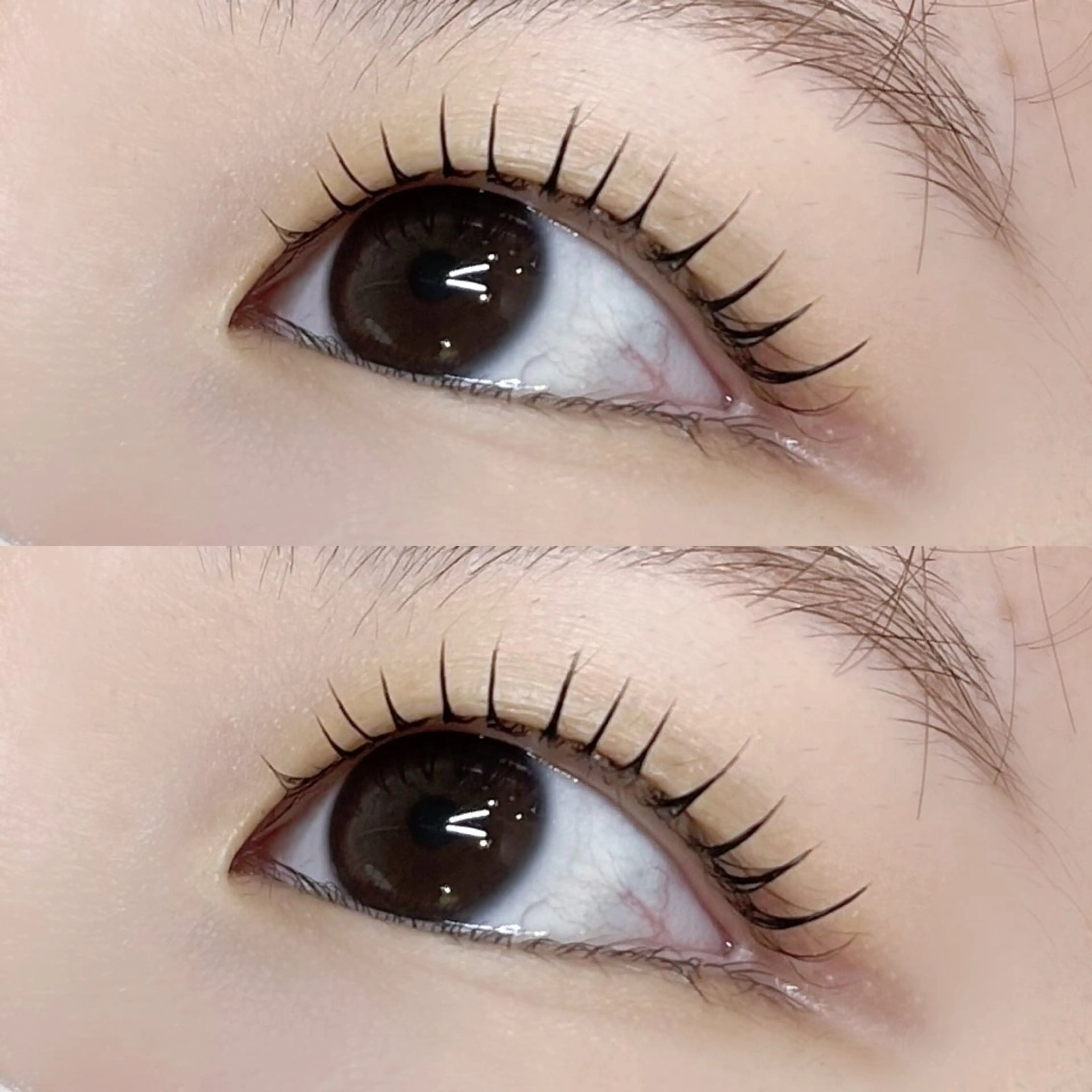 マツエク・マツパ Cカール マツパ Pupu lash  𓃱𓂃のマツエク・マツパデザイン