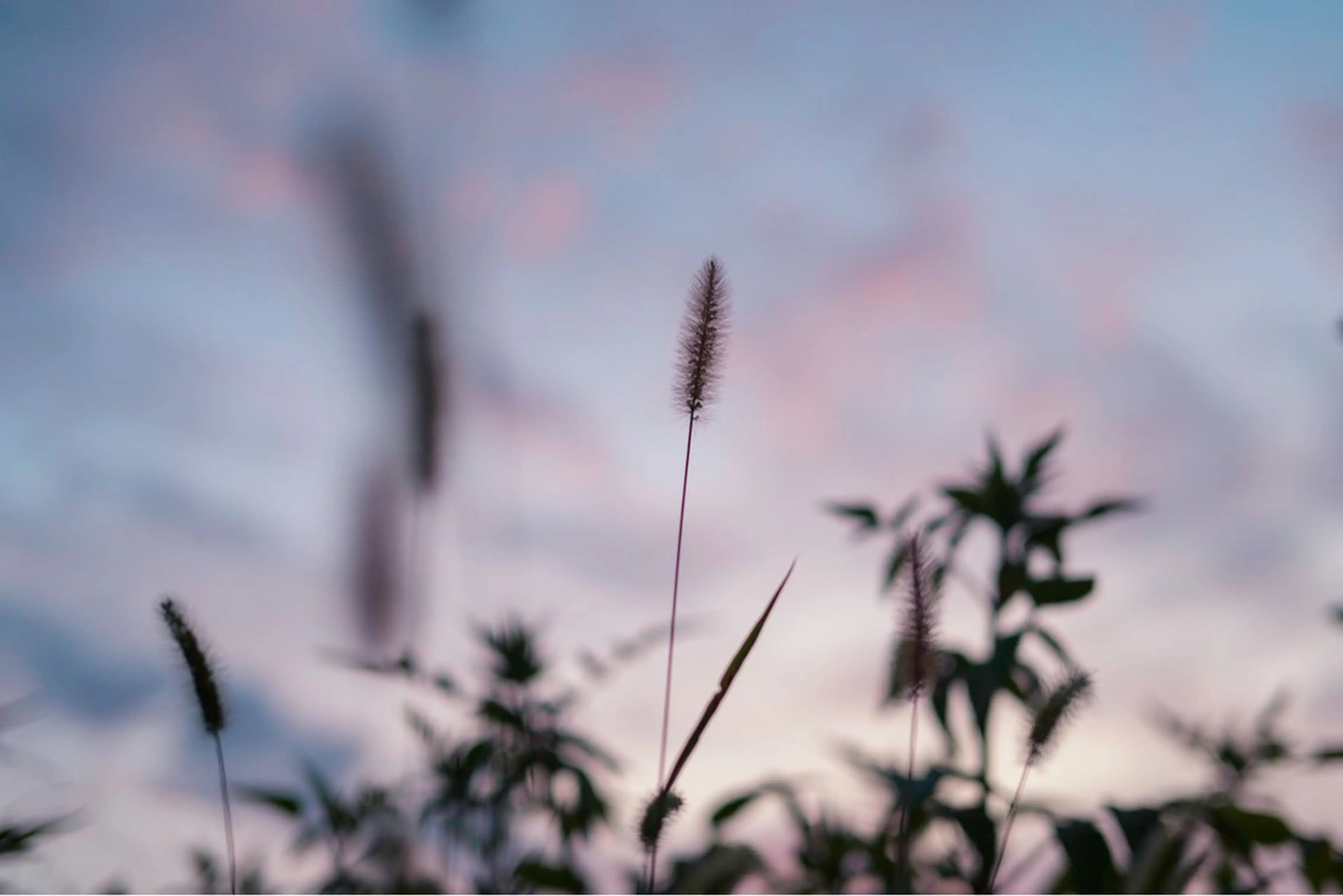 🌼二本柳 🌼のヘアスタイル