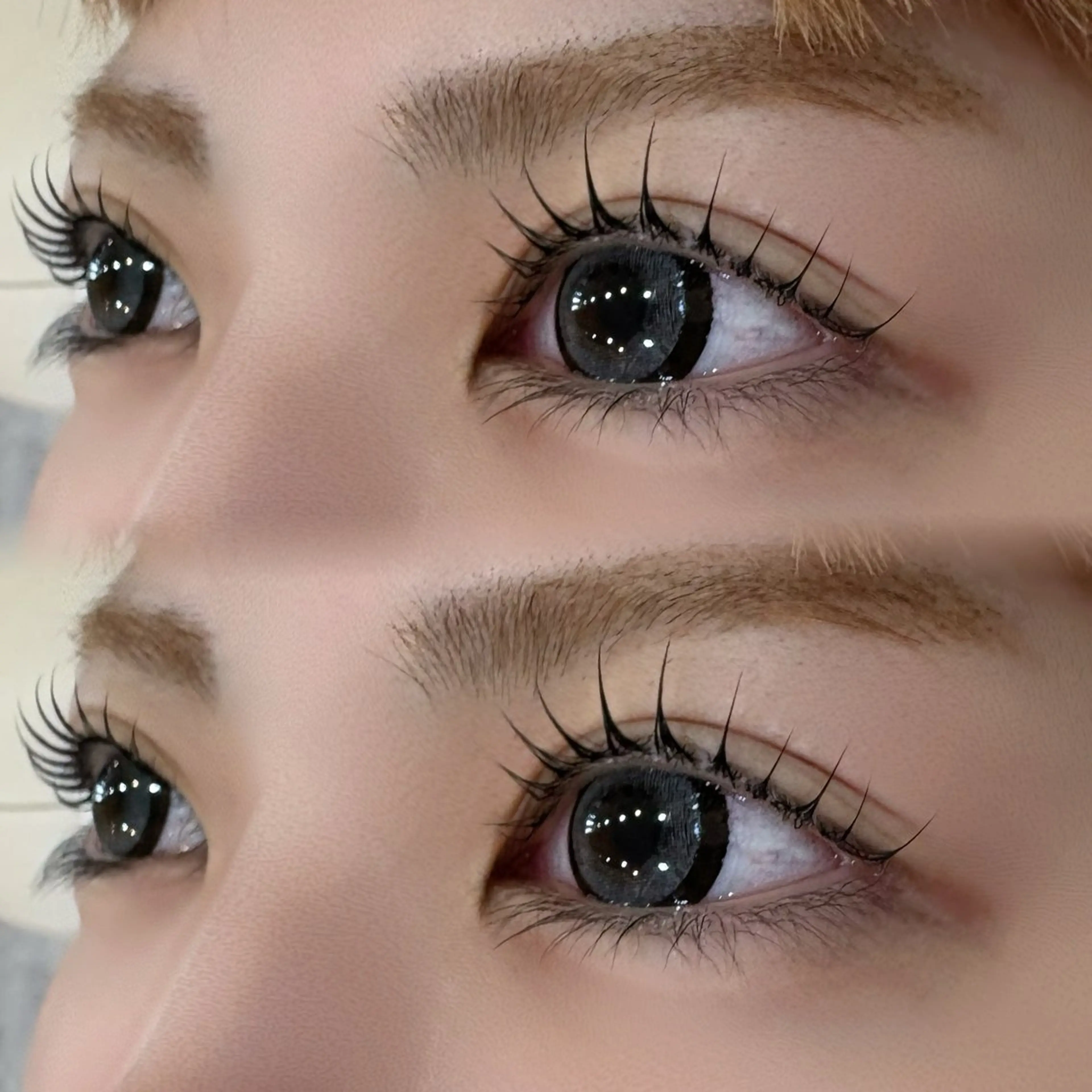 マツエク・マツパ マツパ eyelashZen 🤍HIRARIの眉毛・アイブロウイメージ