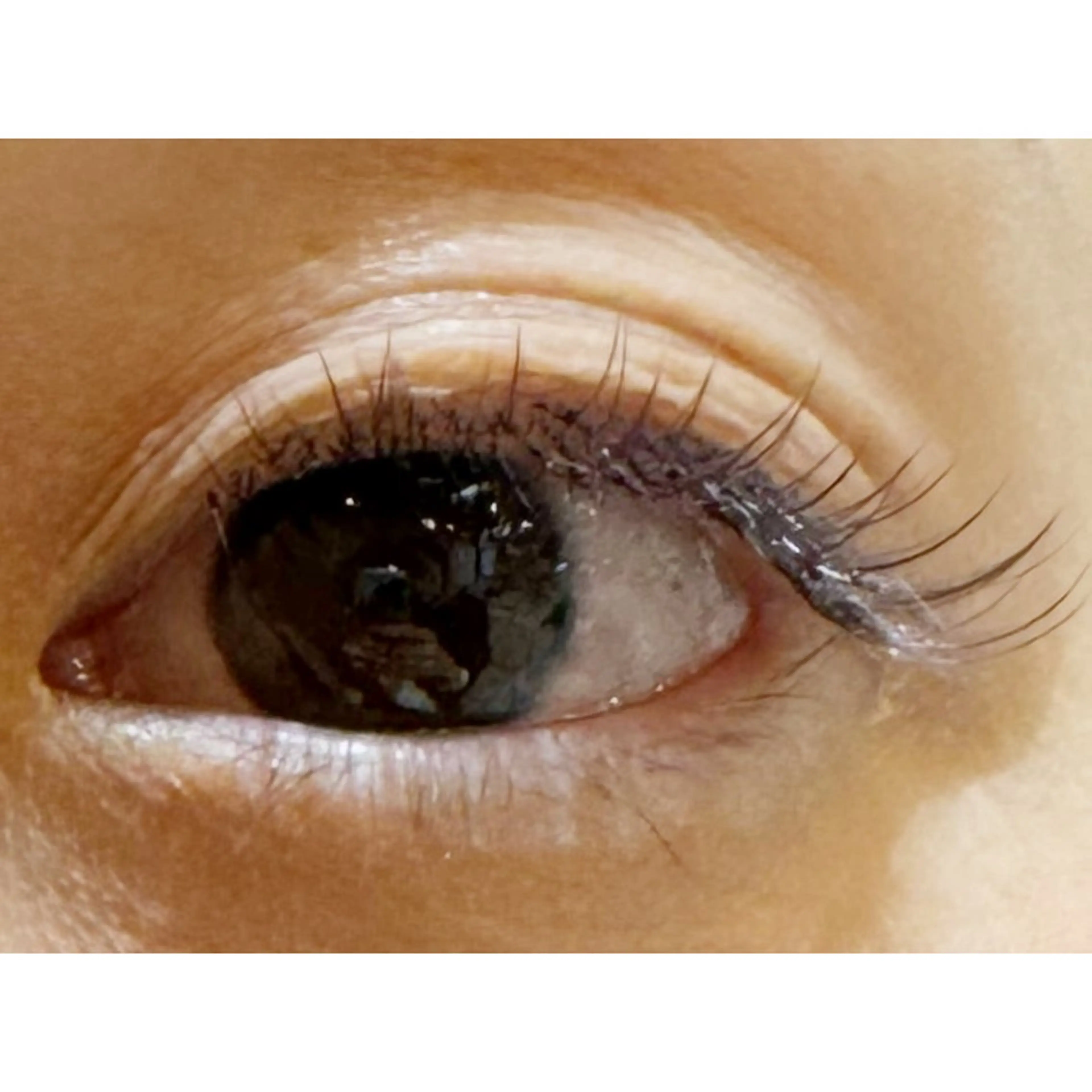 マツエク・マツパ マツエク Luz町田店 工藤の眉毛・アイブロウイメージ