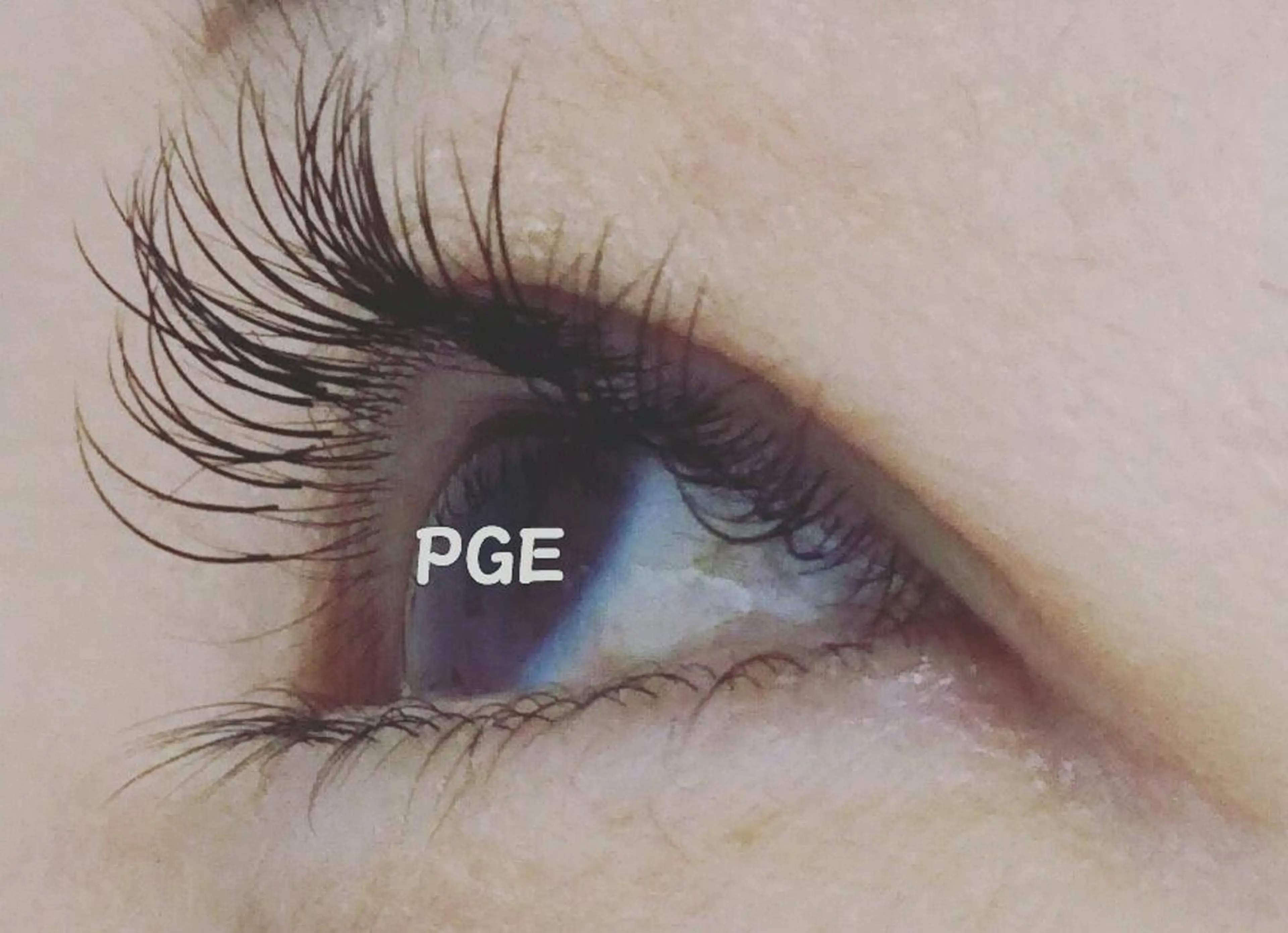 マツエク・マツパ Cカール セーブル Pinkganesh Eyelashのマツエク・マツパデザイン