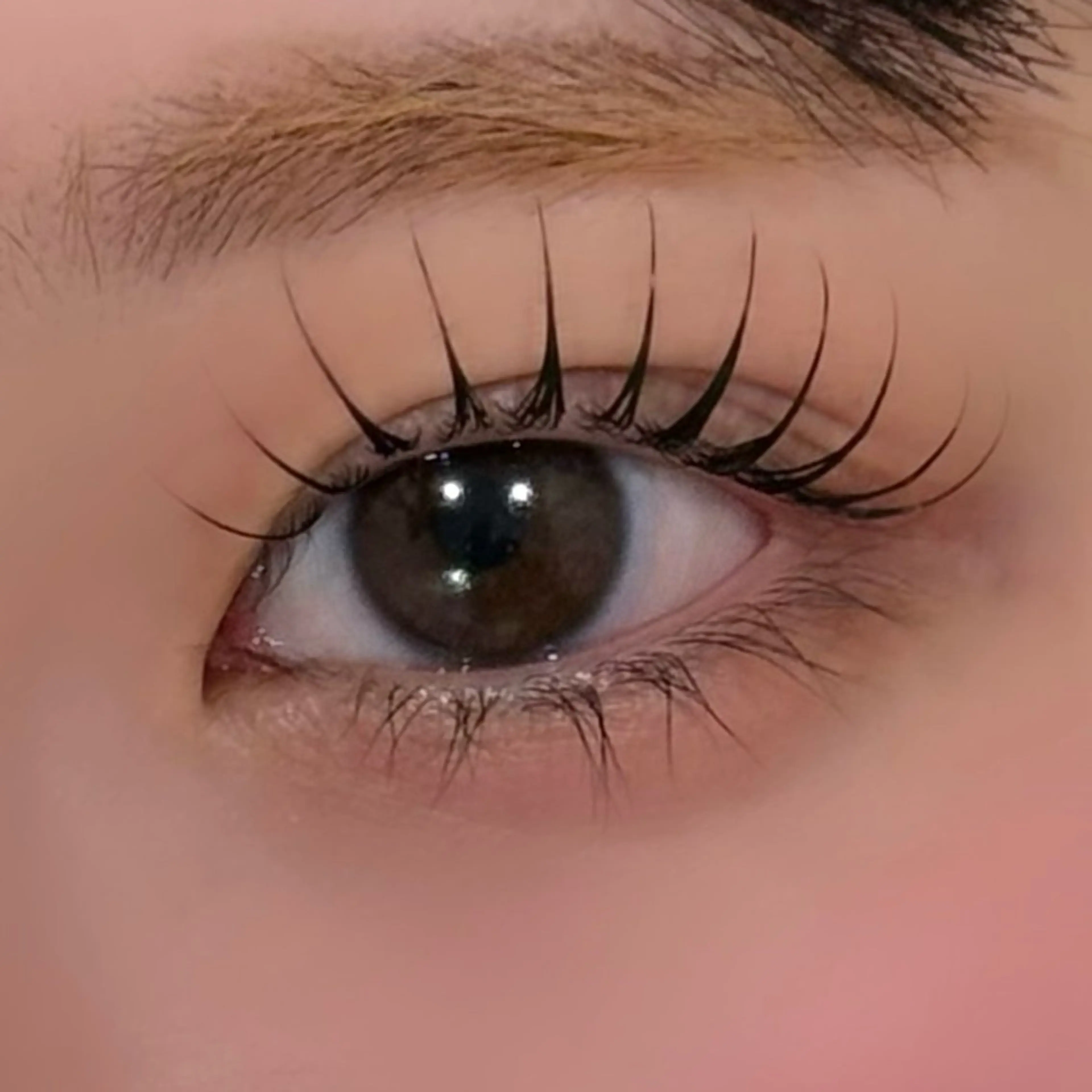 🫧まつ毛パーマ🫧(アイシャンプー付き)の写真