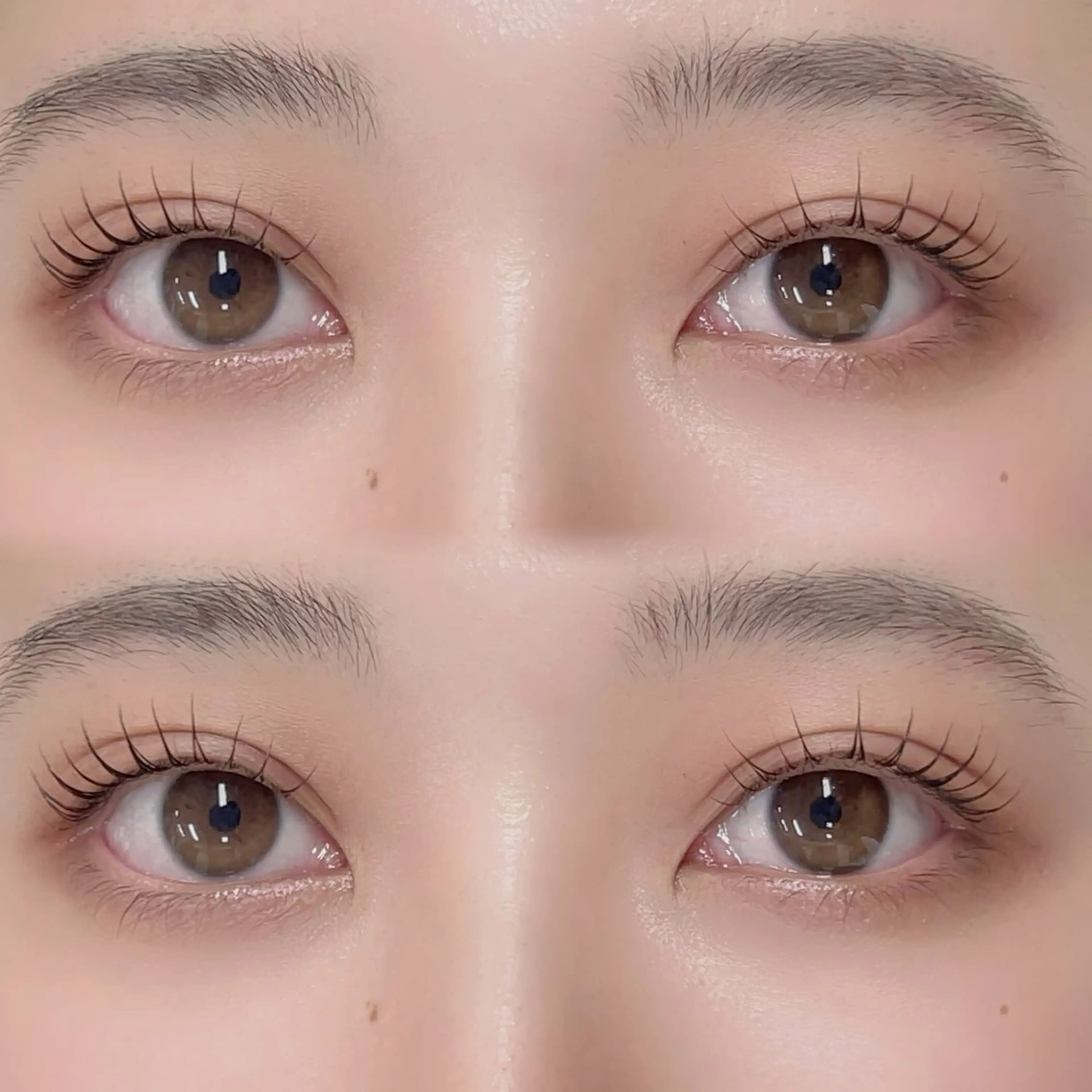 マツエク・マツパ R🌹 ⁺⊹˚.のマツエク・マツパデザイン