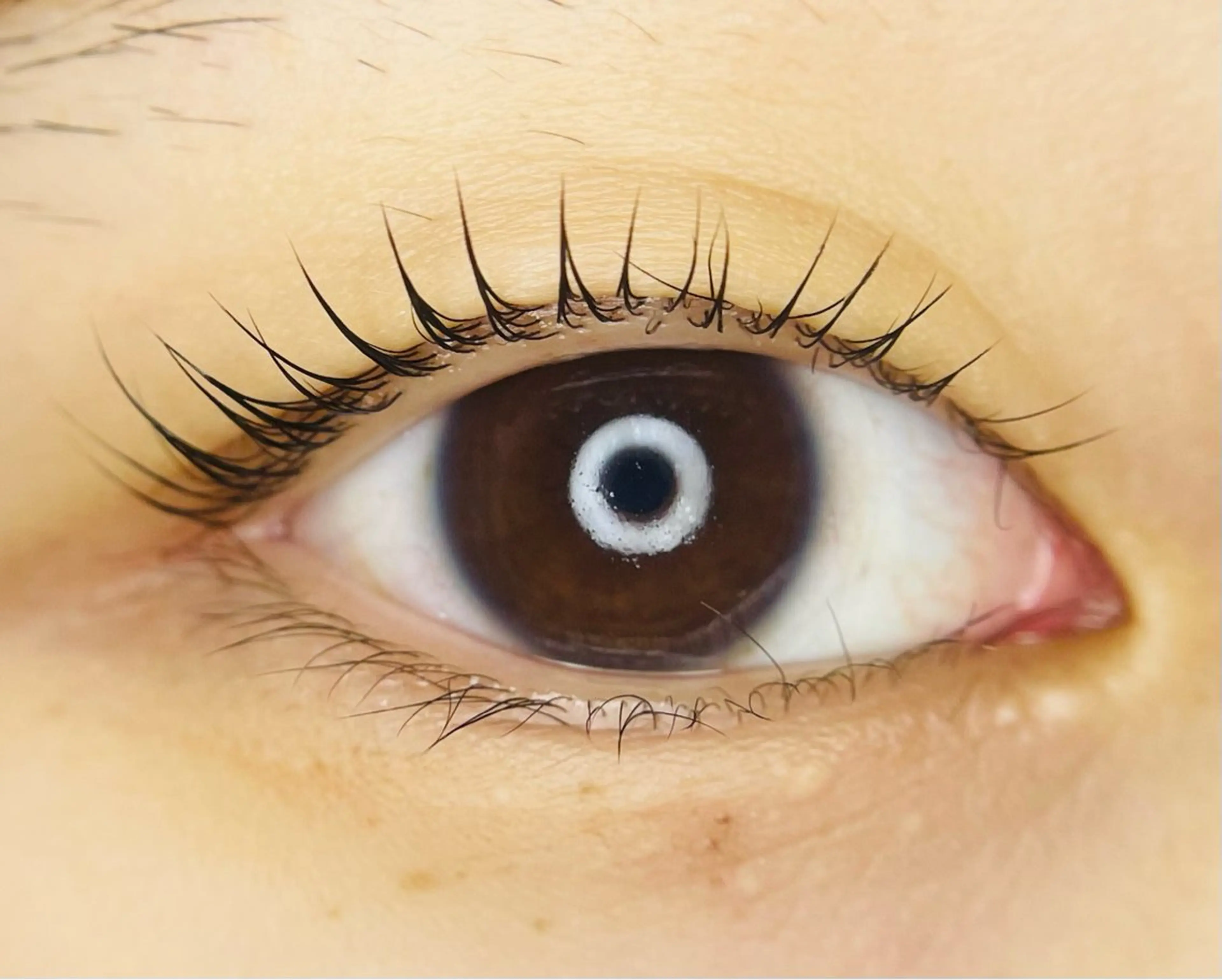 マツエク・マツパ L🎀リアン サロンのマツエク・マツパデザイン