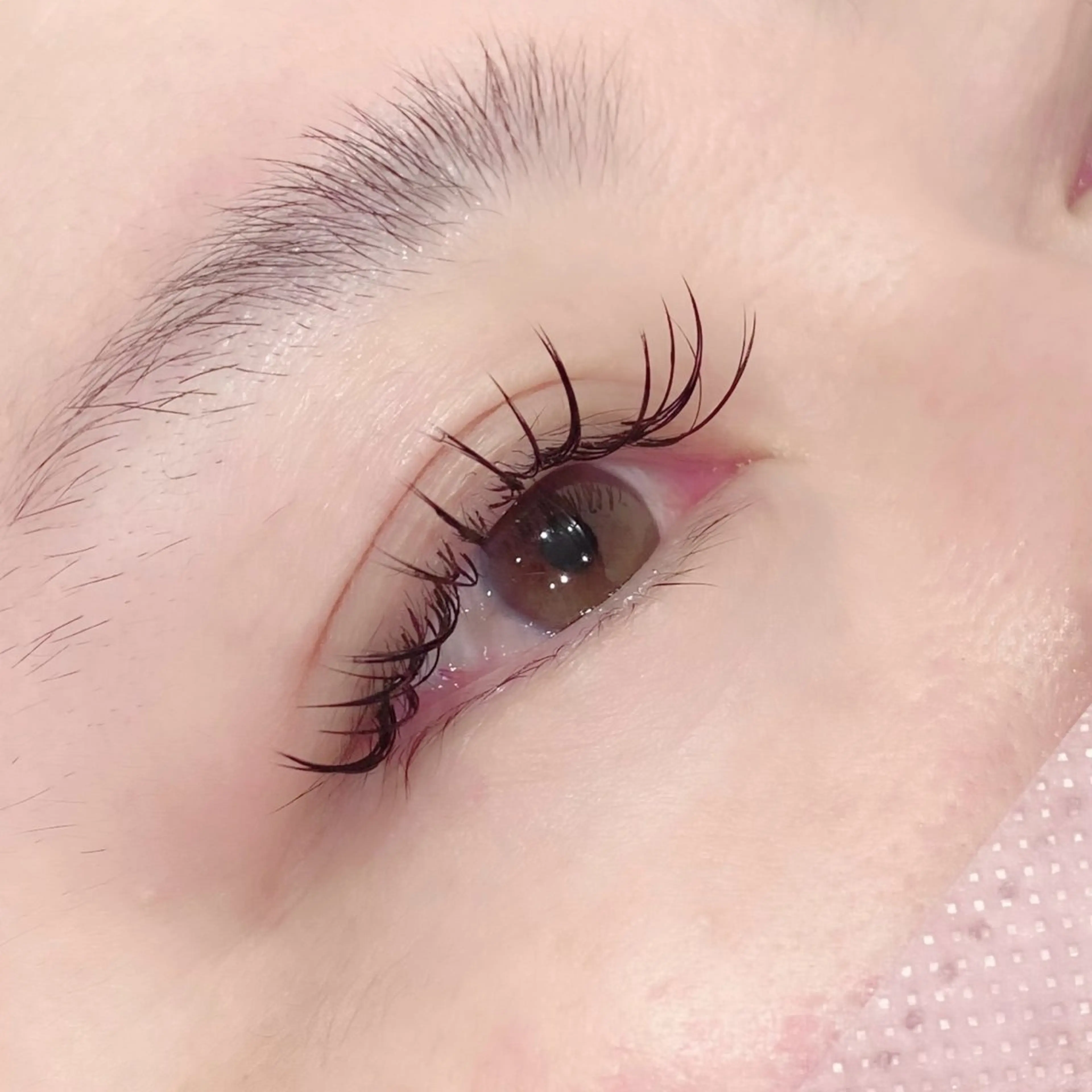 マツエク・マツパ gioia 根津のマツエク・マツパデザイン