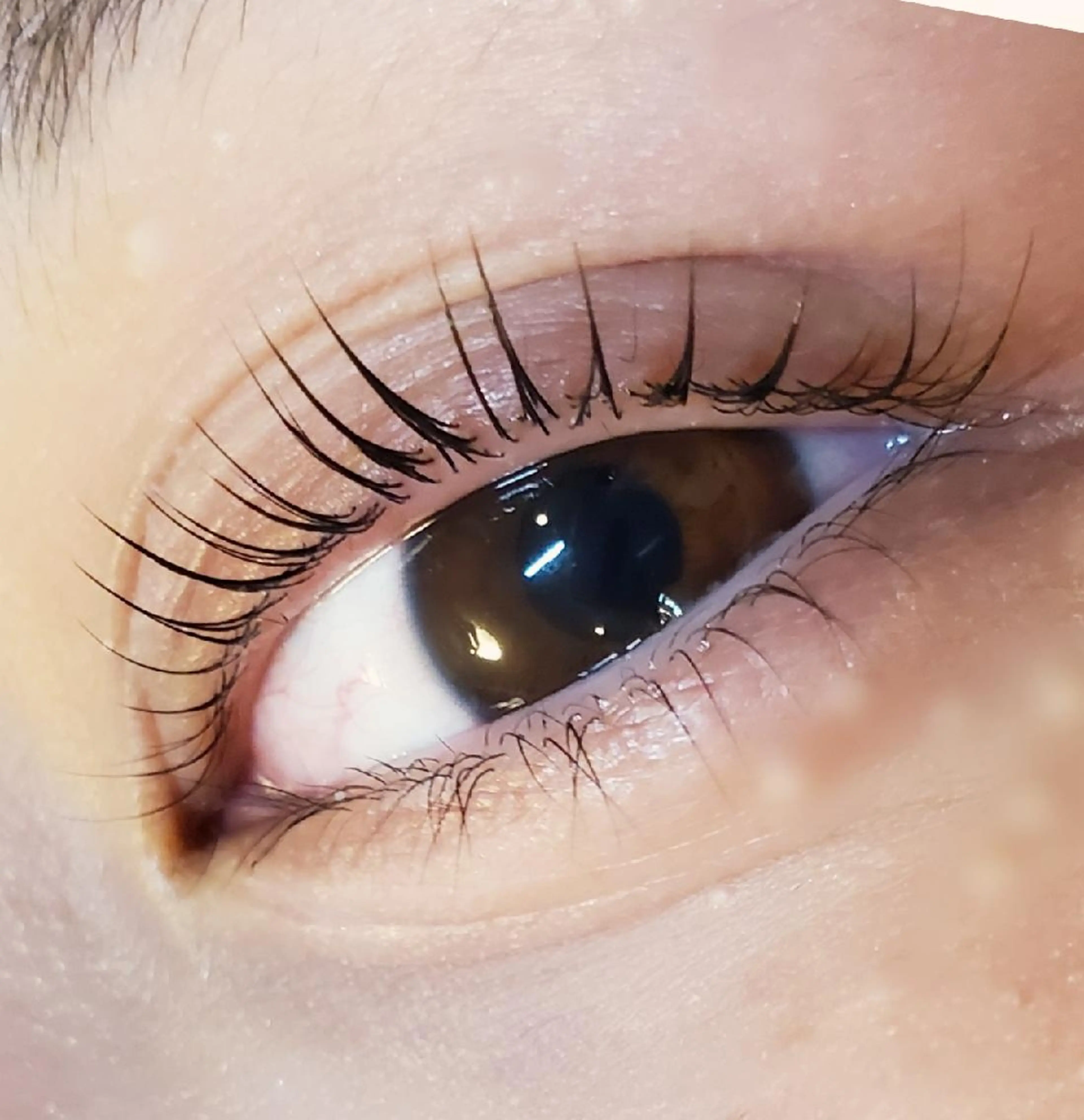 マツエク・マツパ ant_u🌷 arisaのマツエク・マツパデザイン