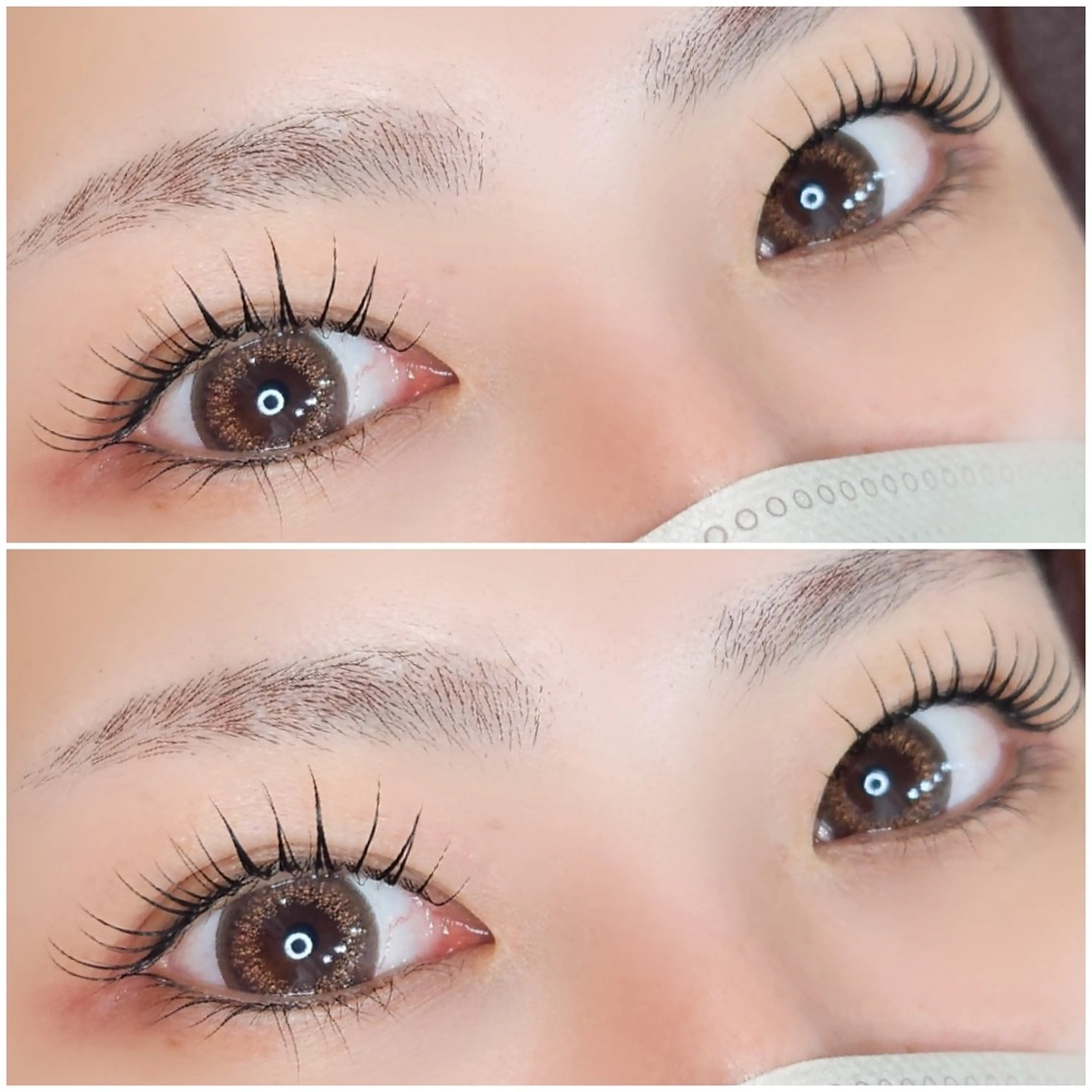 【アイSh.TR込み】ラッシュリフト🎀の写真