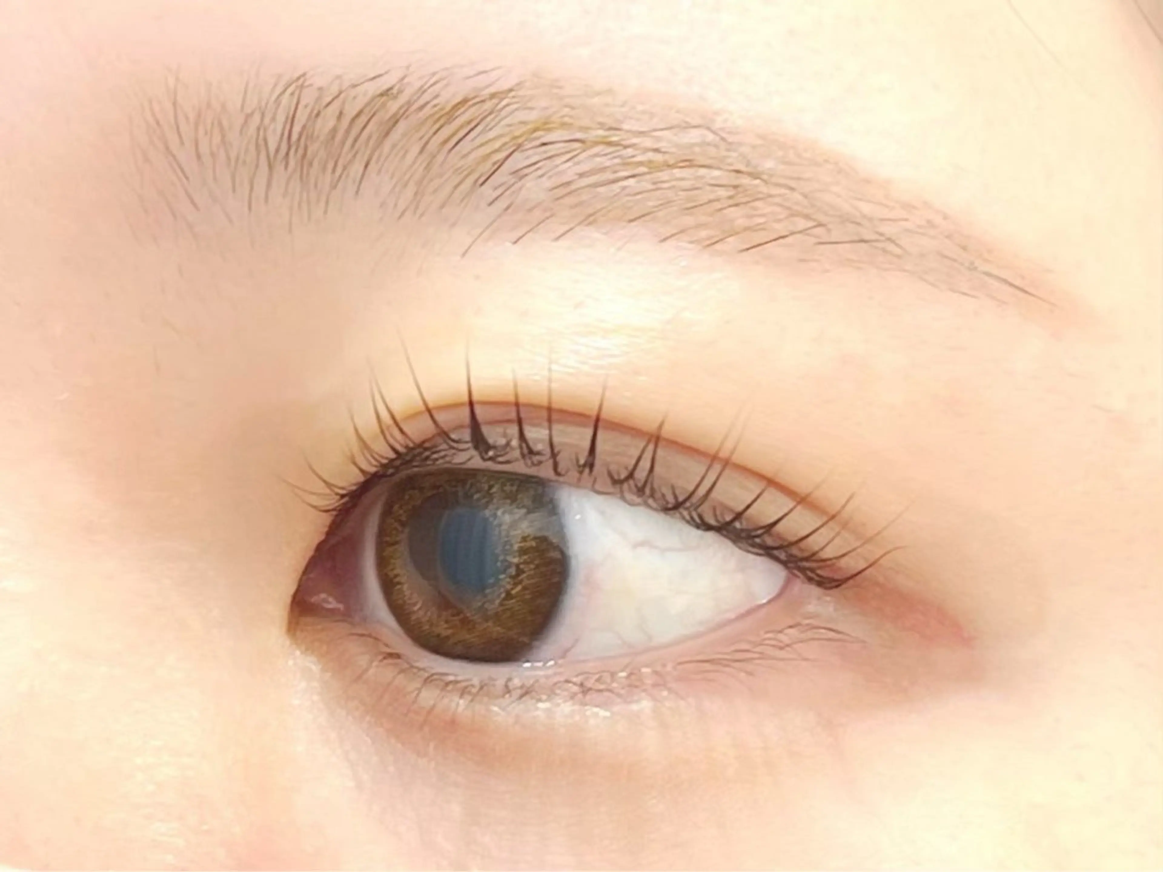 マツエク・マツパ eL 田中のマツエク・マツパデザイン