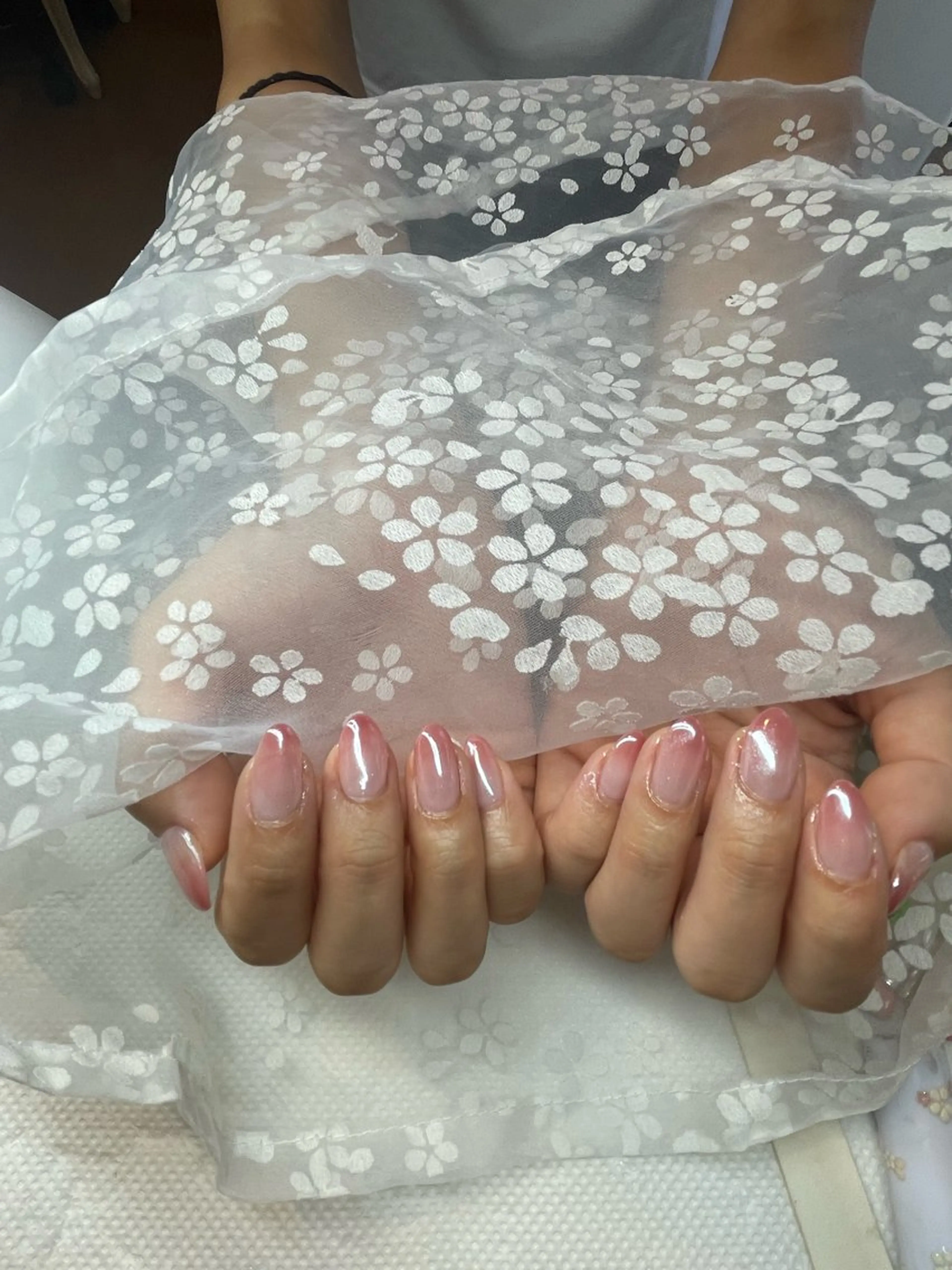 オーロララメグラデーションの写真