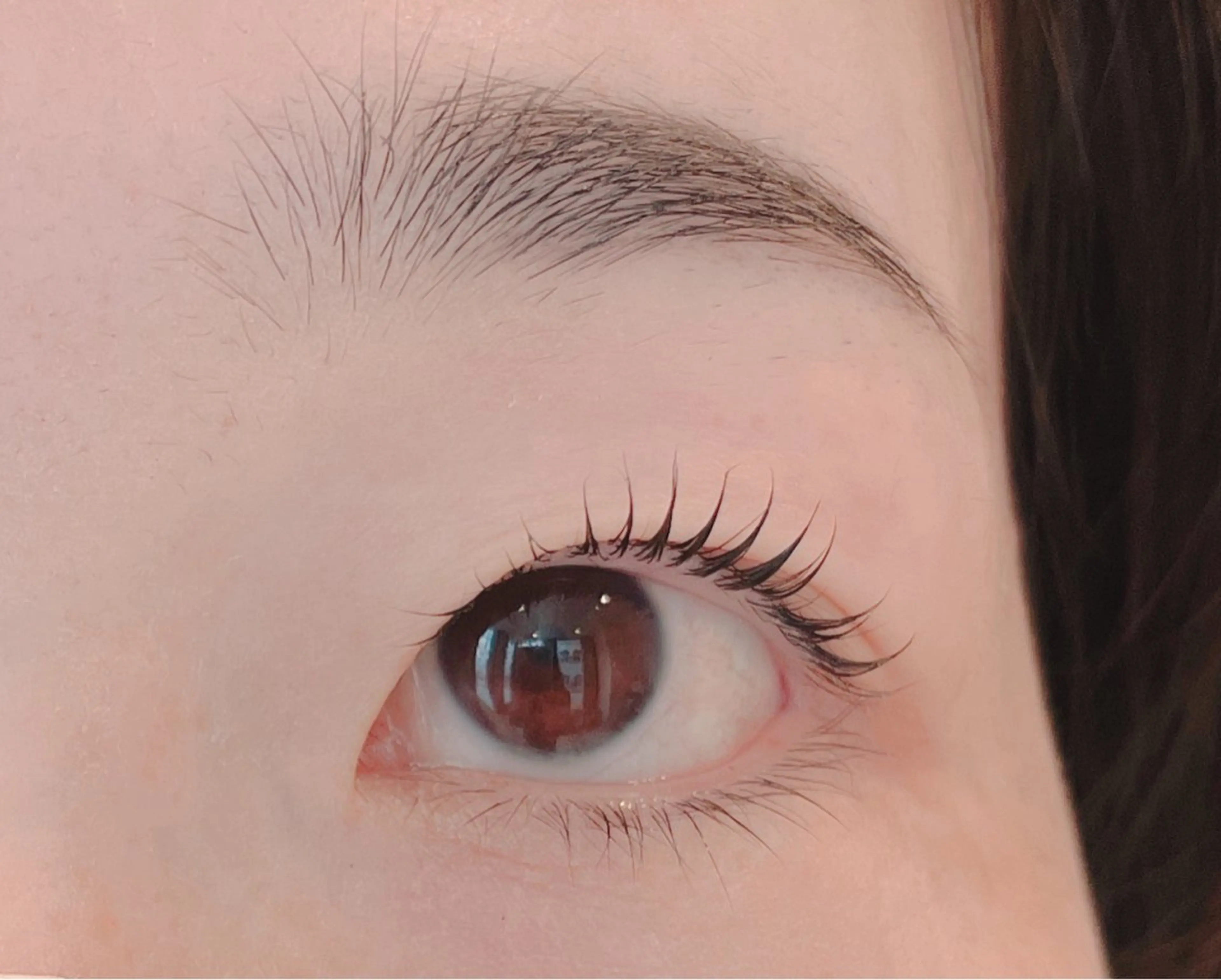 マツエク・マツパ Holly  Bio KIKOの眉毛・アイブロウイメージ