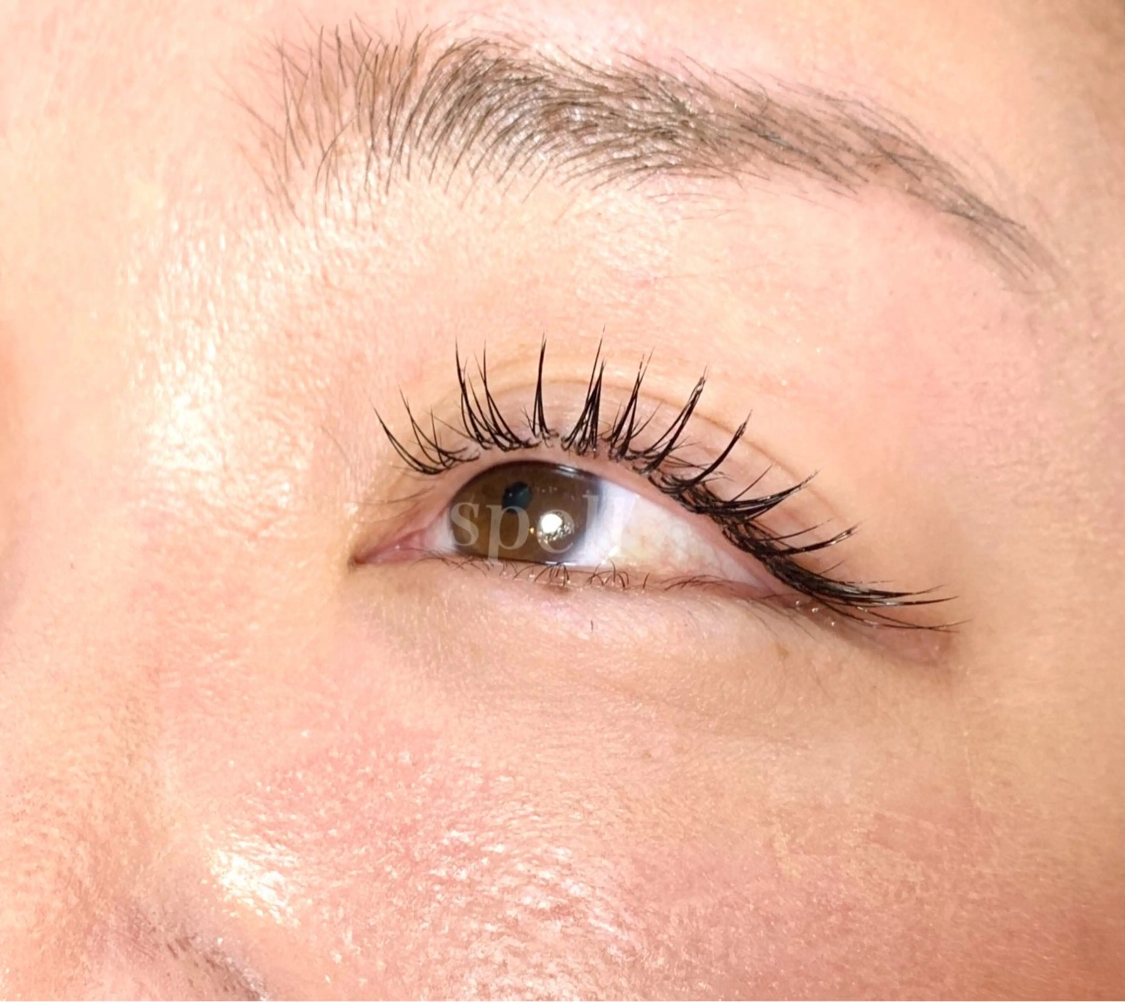 マツエク・マツパ マツエク spell eyelashのマツエク・マツパデザイン