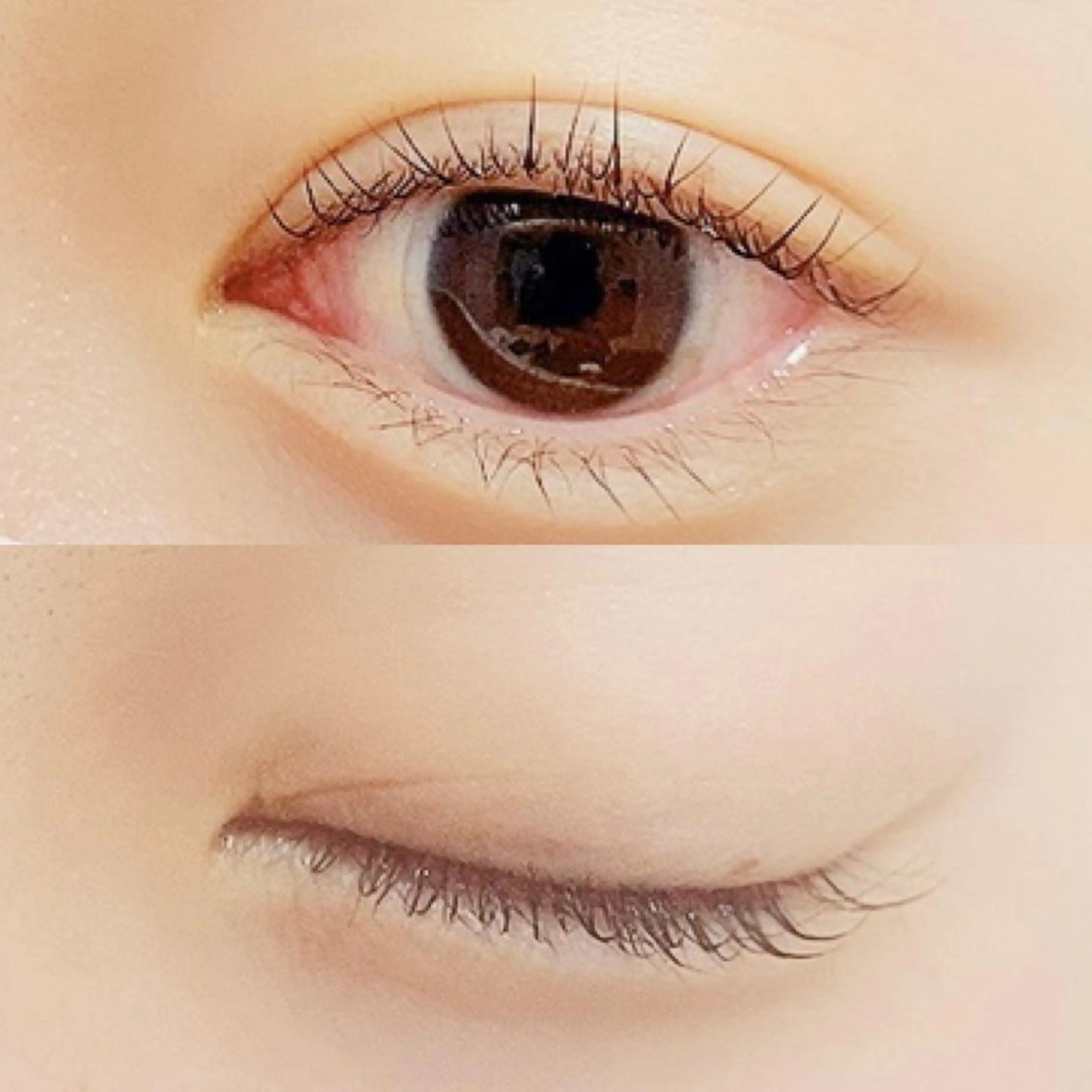 マツエク・マツパ パリジェンヌラッシュリフト ✧elpatio✧︎ 小出紗羅のマツエク・マツパデザイン