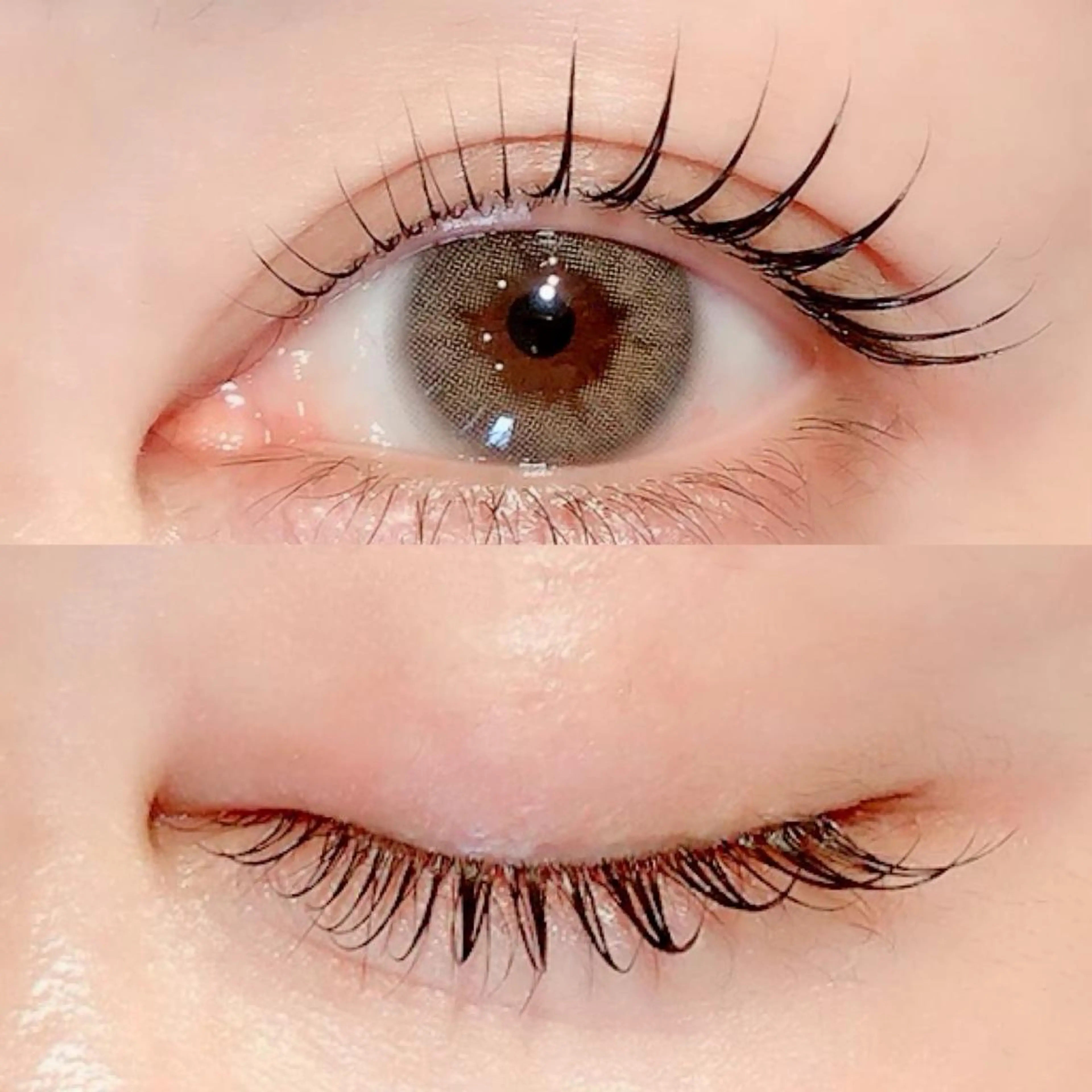 【平日限定クーポン】まつ毛パーマ（ラッシュリフト）7,700→6,930の写真