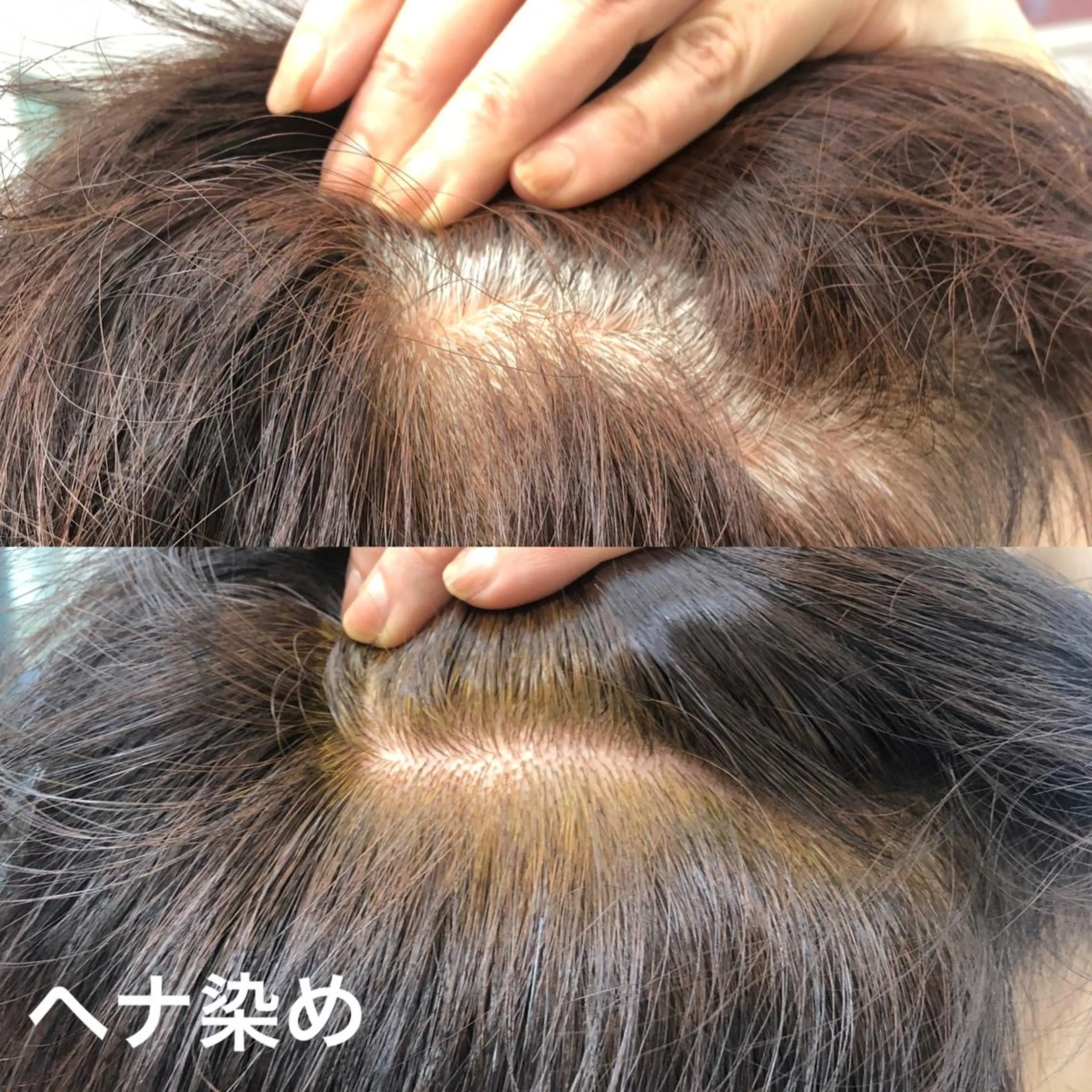 カラー フィールドパパ所属・リラクゼーション ヘナサロンのヘアスタイル