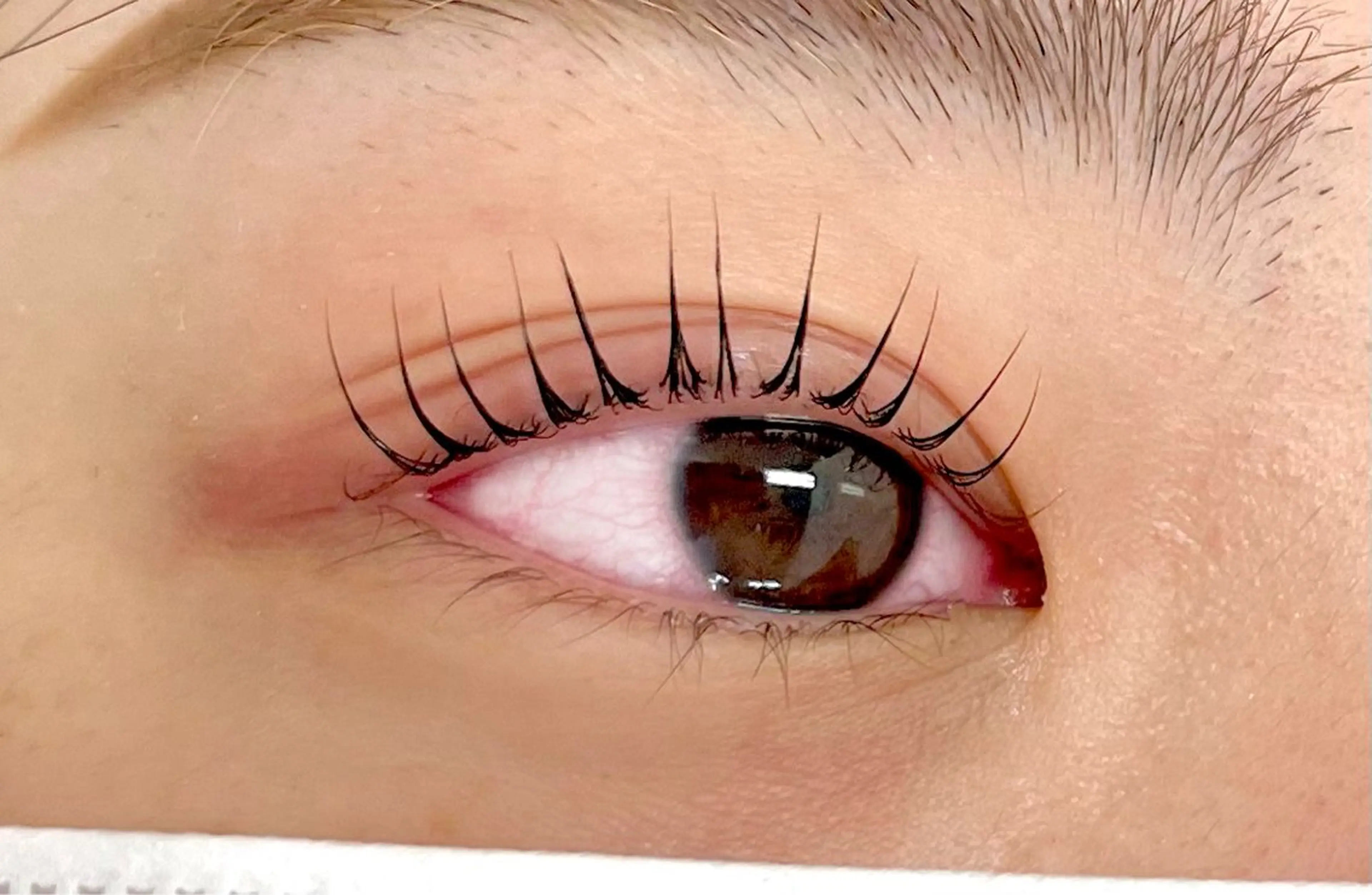 マツエク・マツパ ⭐️alice tokyo秋田⭐️のマツエク・マツパデザイン