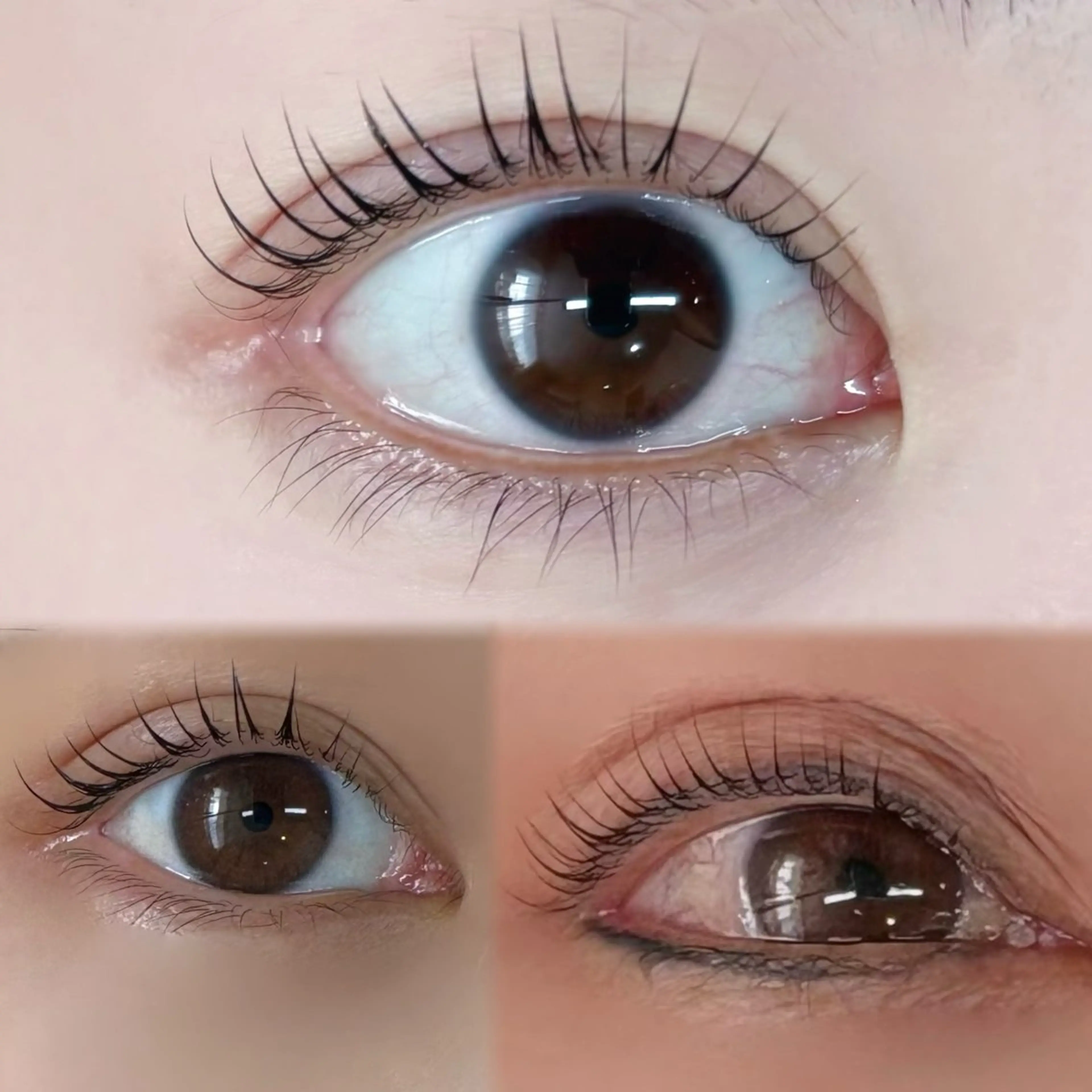 マツエク・マツパ 【SIRIUS】 ☆yurikoのマツエク・マツパデザイン