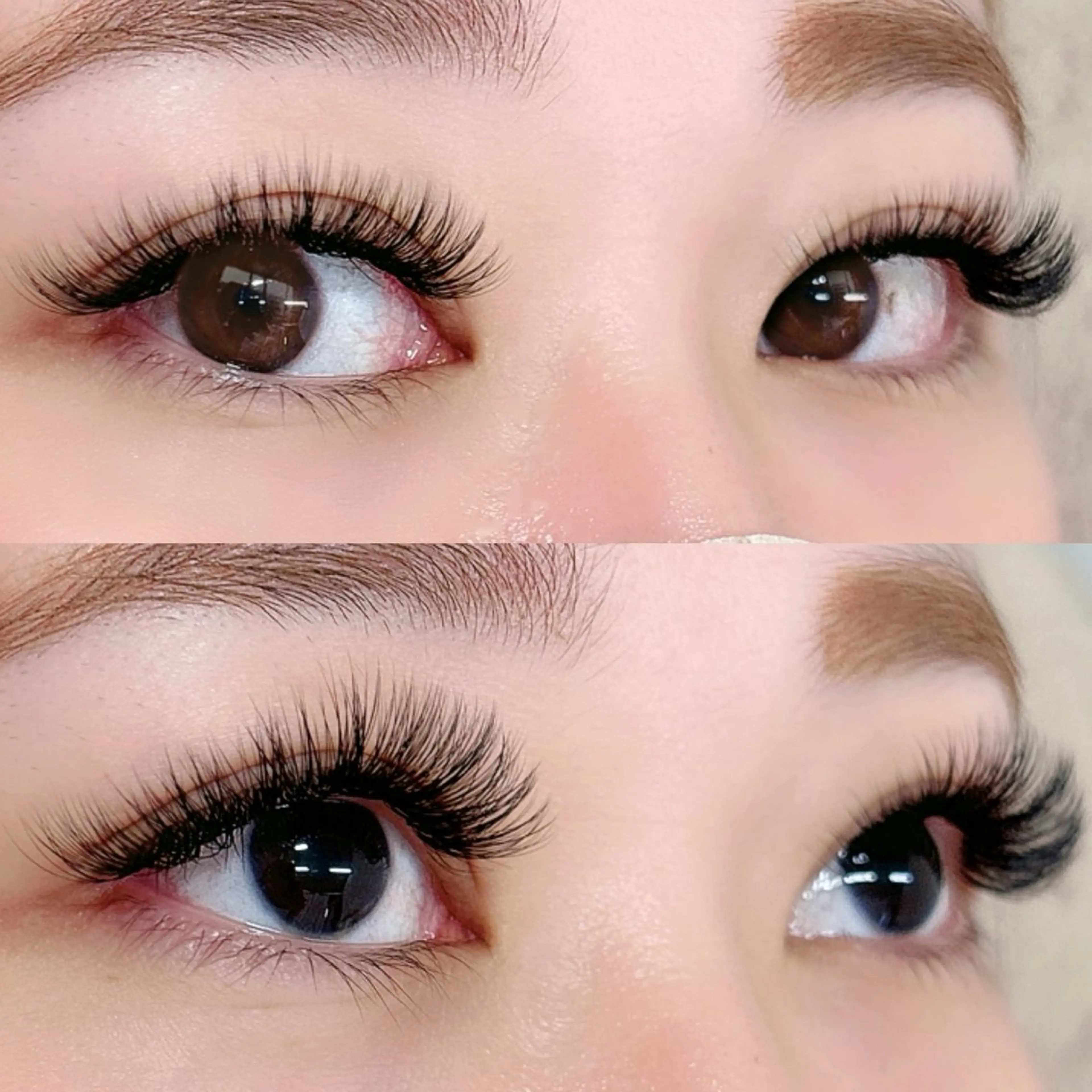 ボリュームラッシュ80束(320本) (新規7100円、再来7700円)の写真