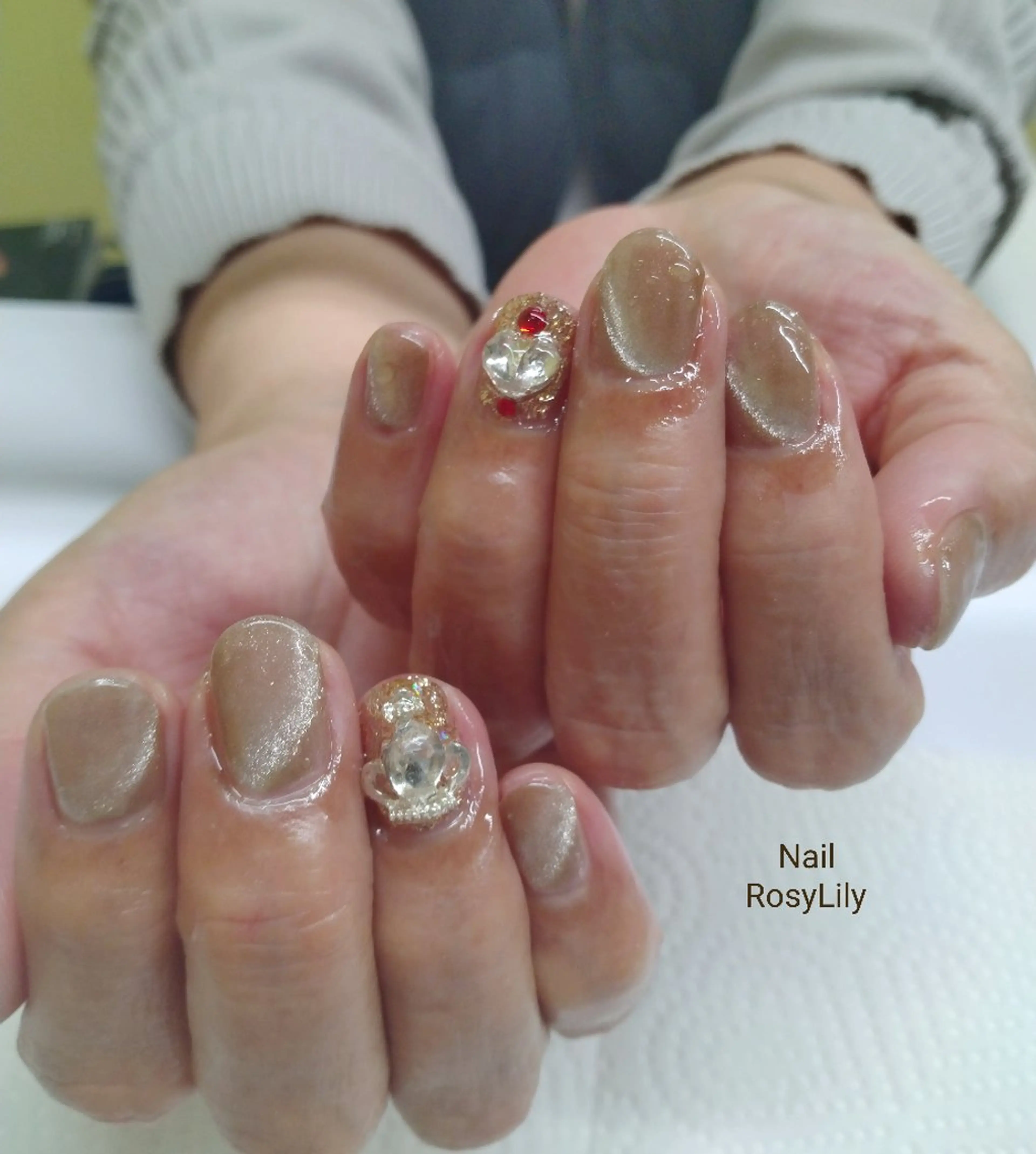 ネイル マグネットネイル ハンドネイル ハンドケア プライベートサロン RosyLily所属・プライベートサロン Rosy Lilyのネイルデザイン