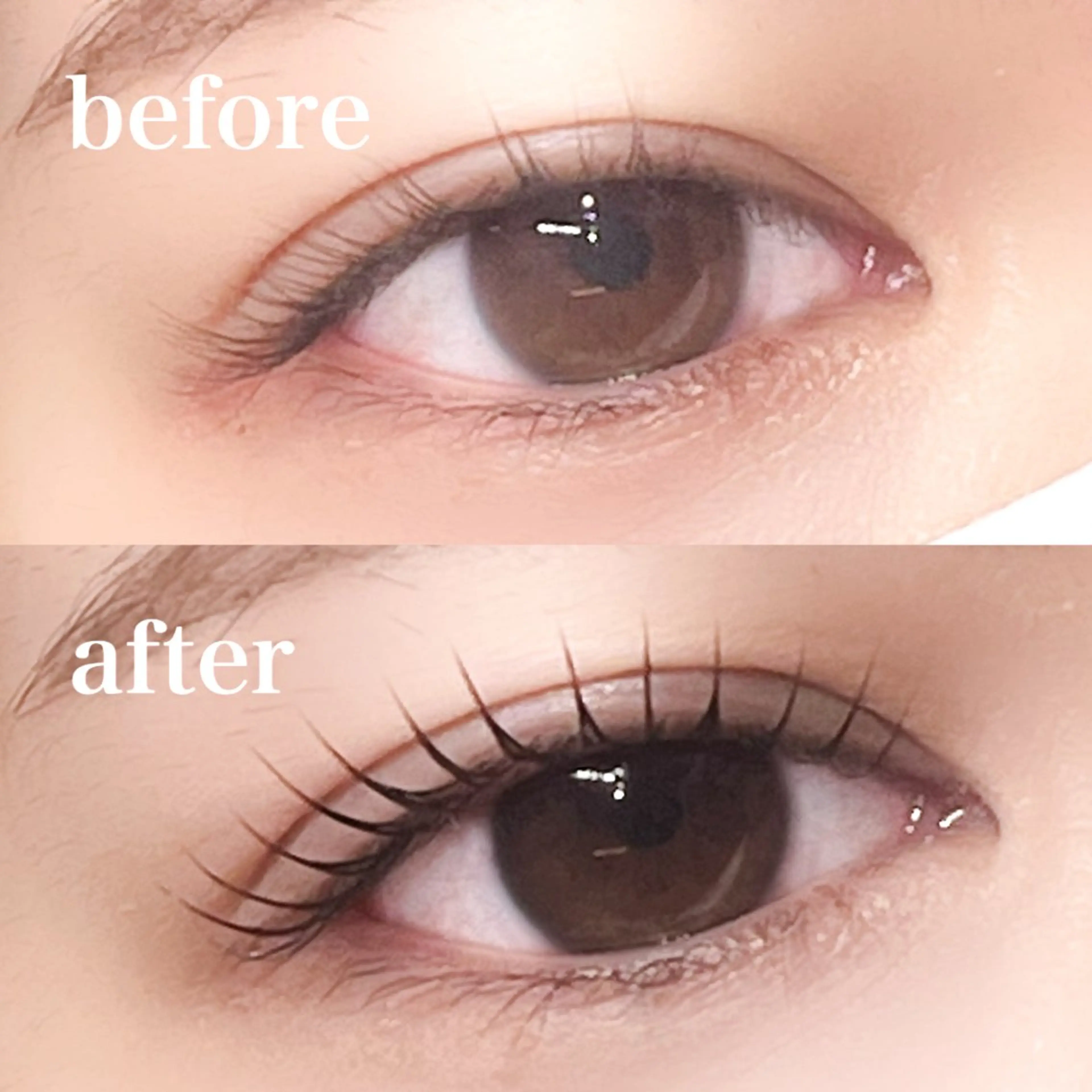 マツエク・マツパ パリジェンヌラッシュリフト まつげパーマ 一重×まつ毛パーマ 仙台/束感まつげ💐 🎀Mizukiの眉毛・アイブロウイメージ