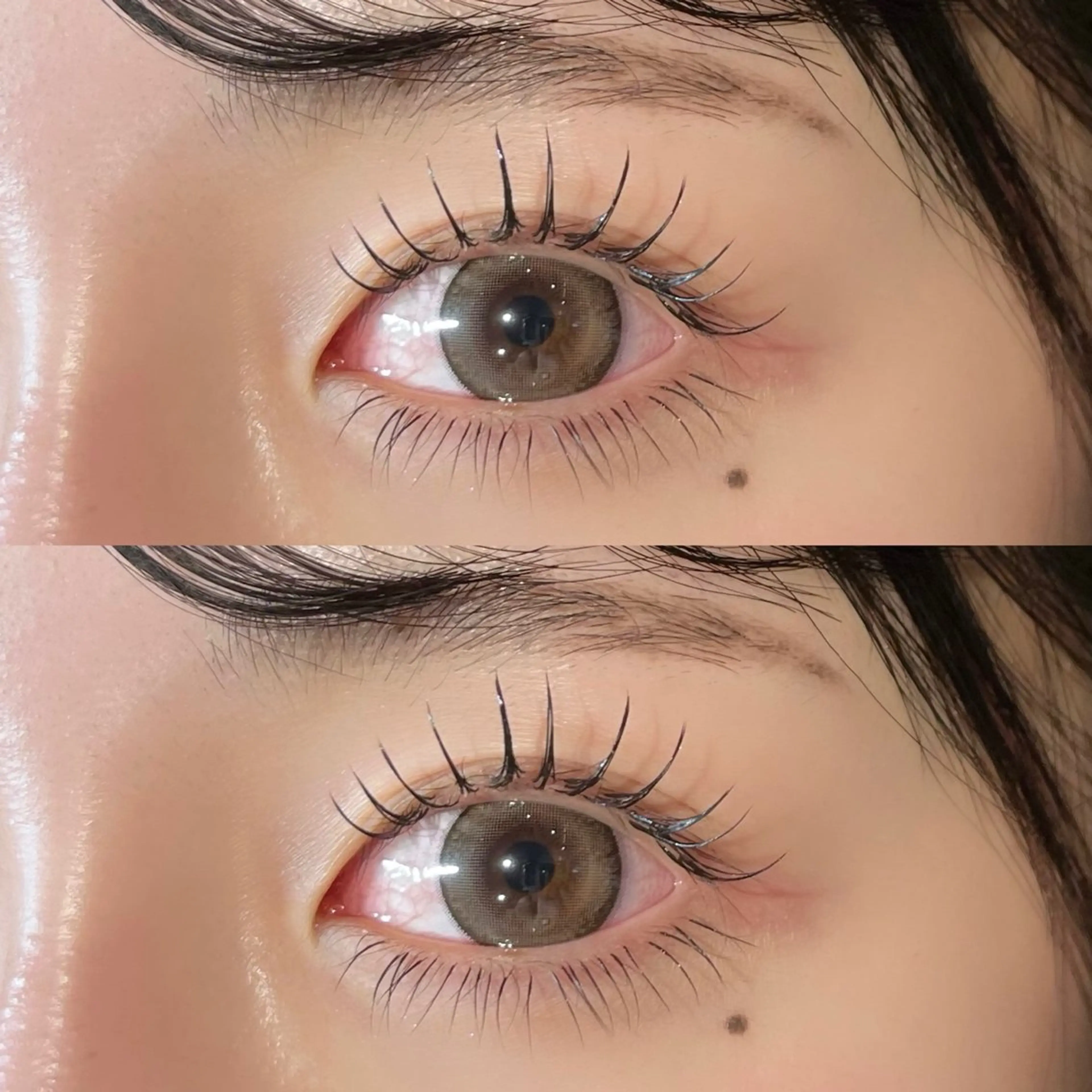 ใใใจใฏใปใใใ ๐๐๐๐๐ ๆ่ฑใฎใใใจใฏใปใใใใใถใคใณ