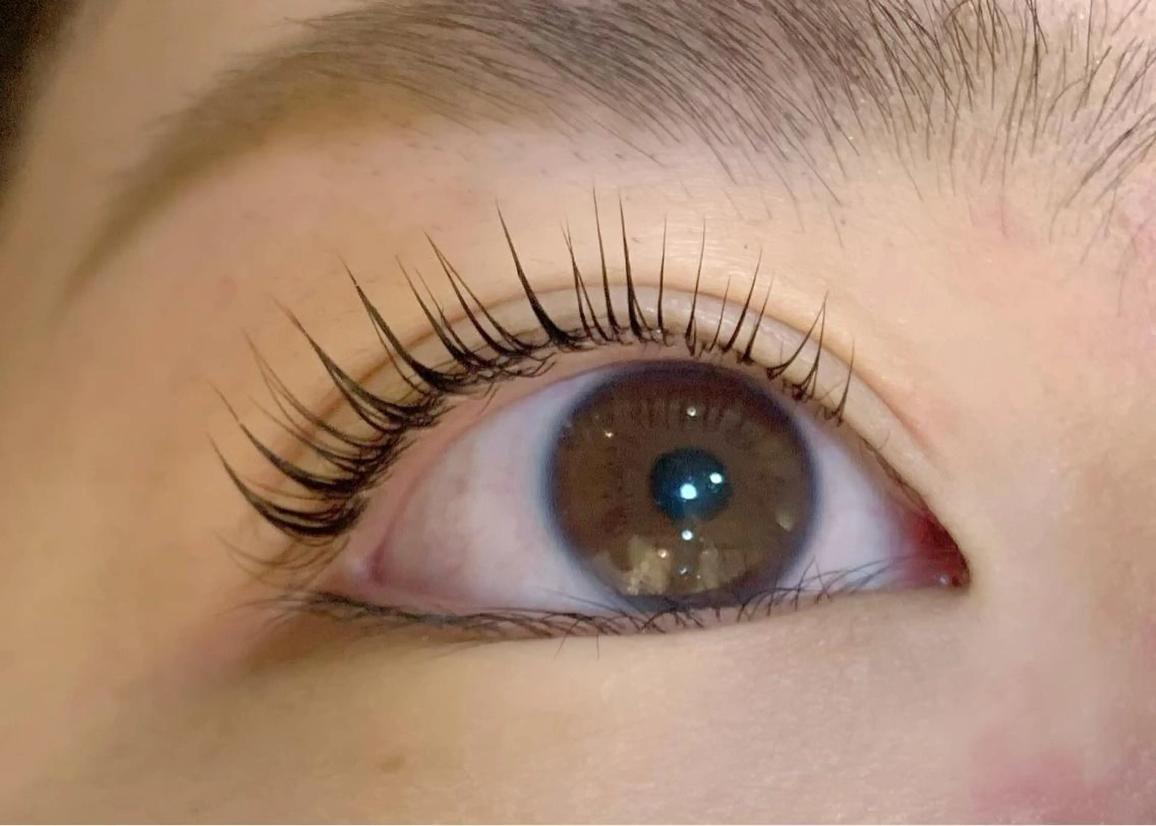 【当日予約限定/ご新規様】パリジェンヌラッシュリフト・その他パーマお選びいただけますの写真