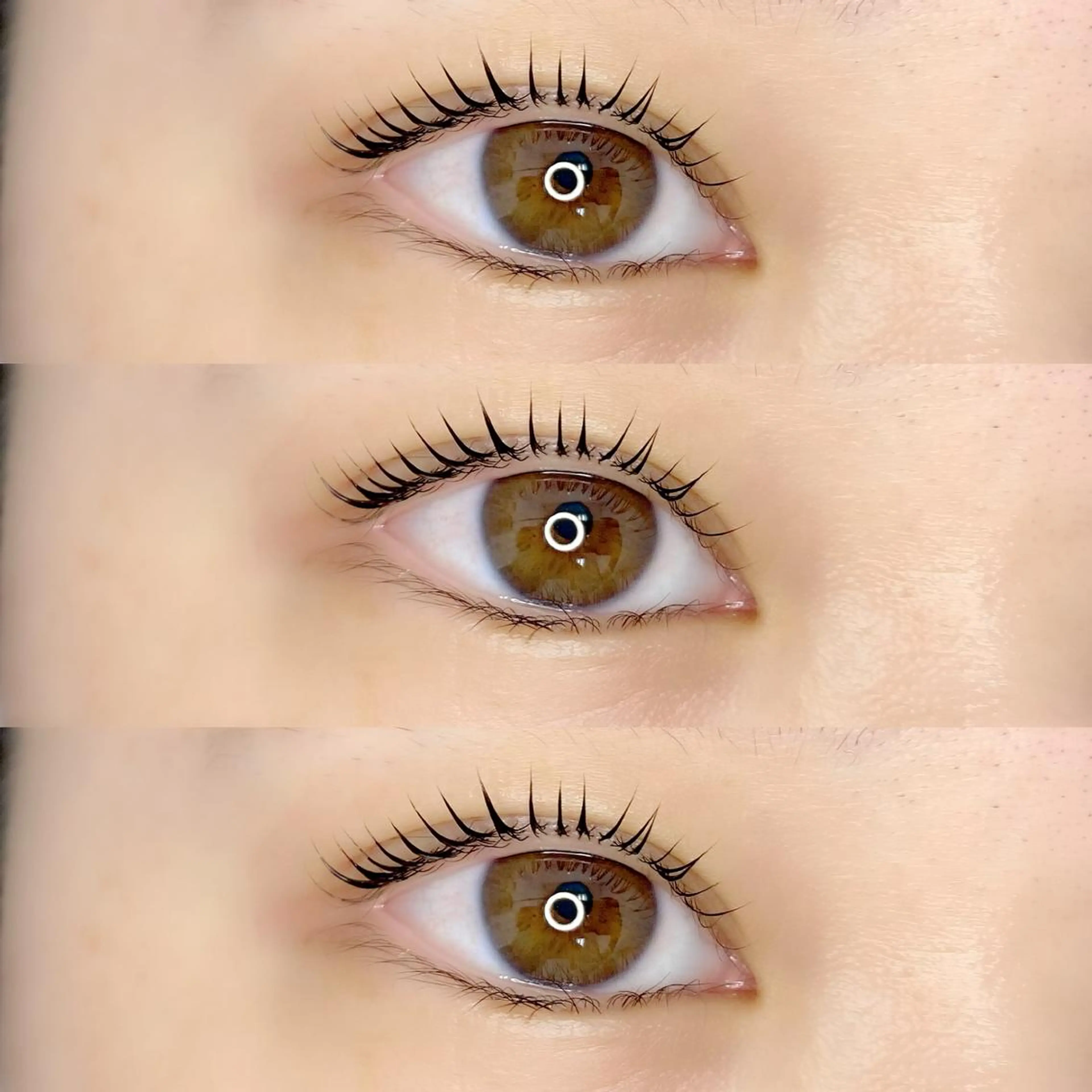 マツエク・マツパ LAND【ランド】 小鹿のマツエク・マツパデザイン