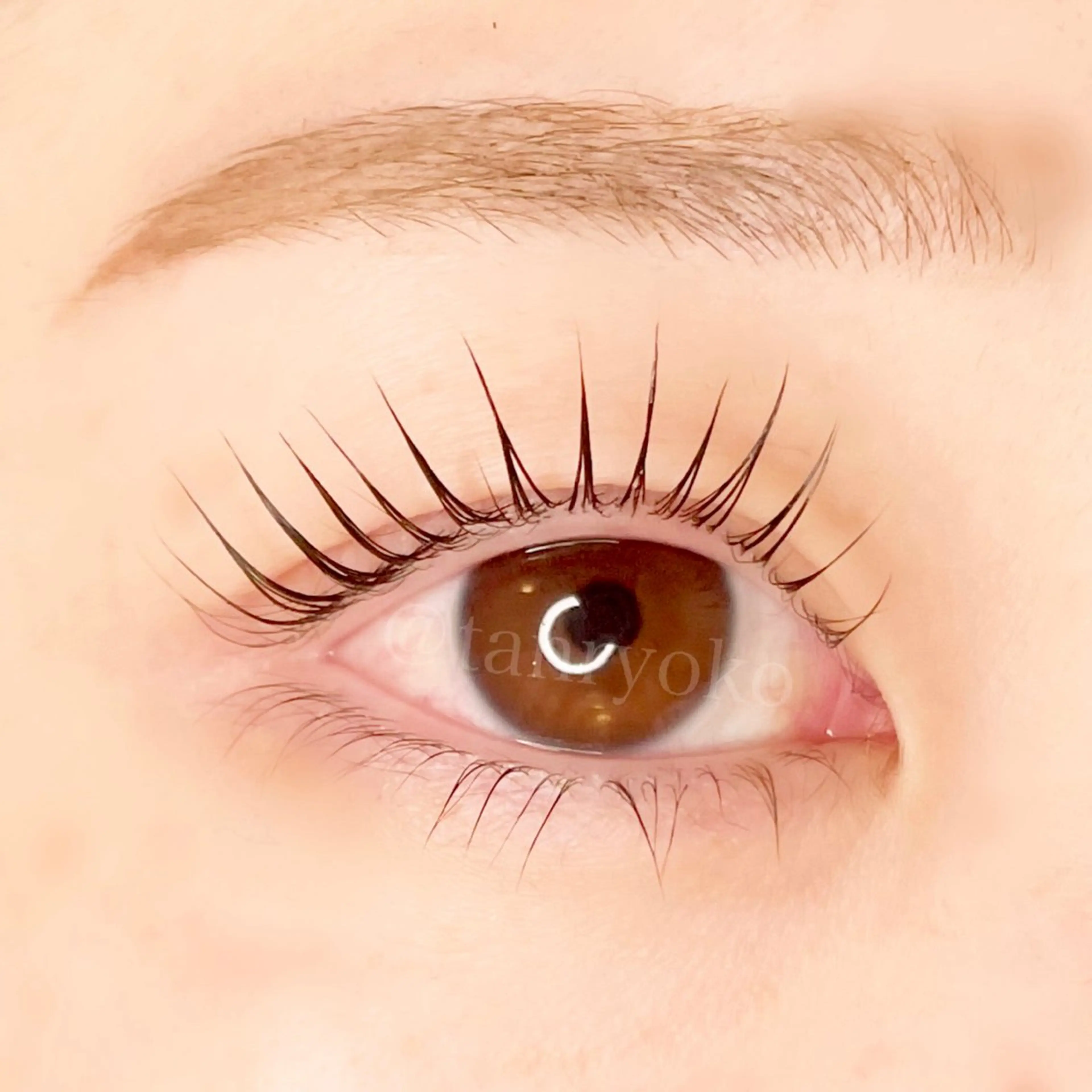 マツエク・マツパ パリジェンヌラッシュリフト マツパ 心斎橋🤍韓国.美眉 パリジェンヌ R..のマツエク・マツパデザイン