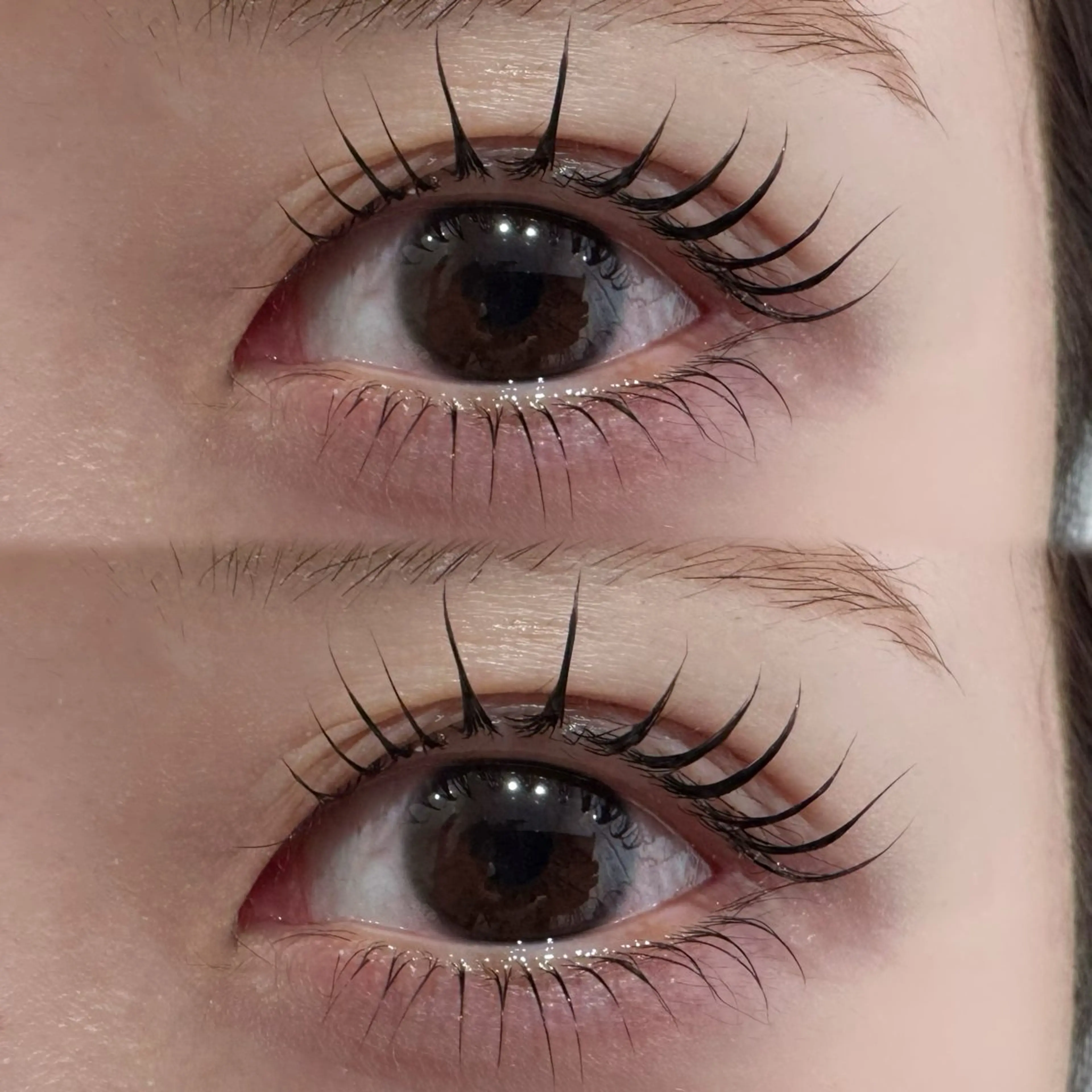 マツエク・マツパ マツパ Chaton KANAGAWAのマツエク・マツパデザイン