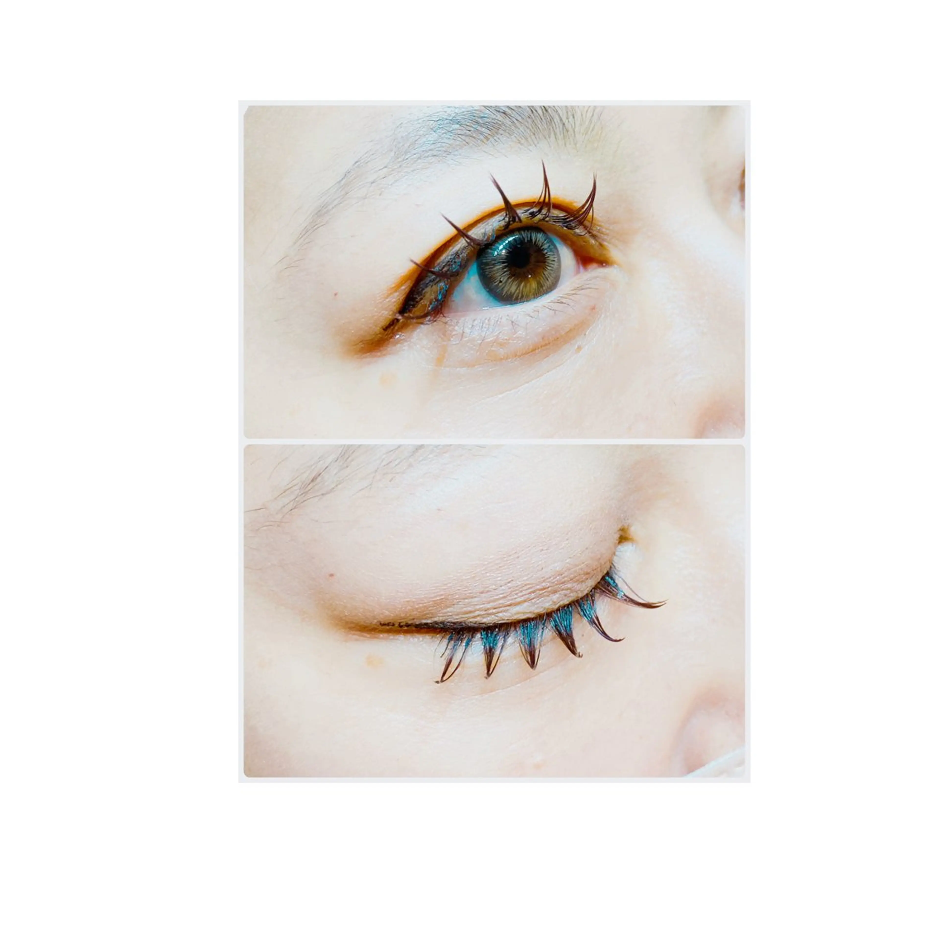 一周年記念メニューの写真