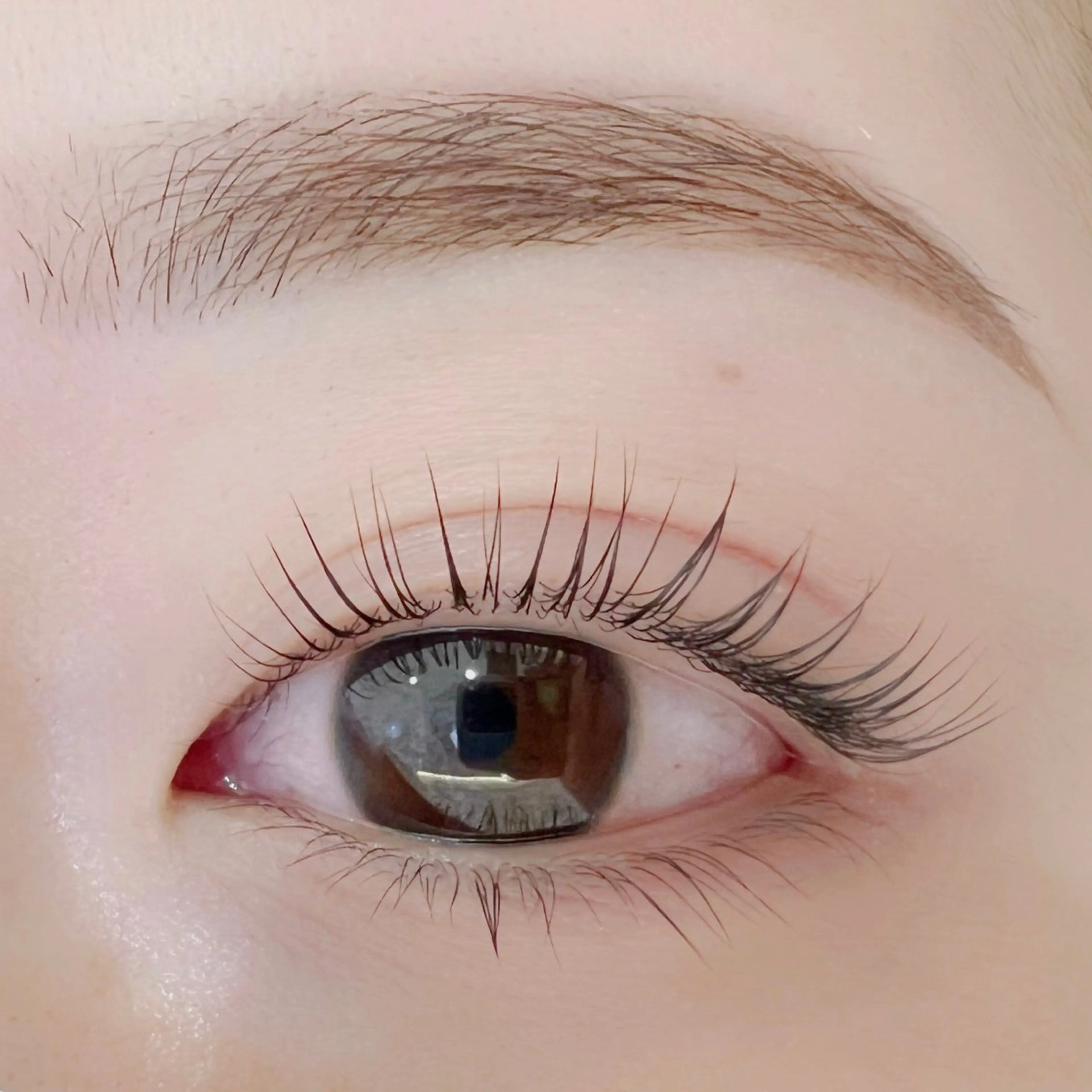 🩵口コミ投稿の方対象🩵【人気No.1】ラッシュリフト(トリートメント付)+眉毛ワックスの写真