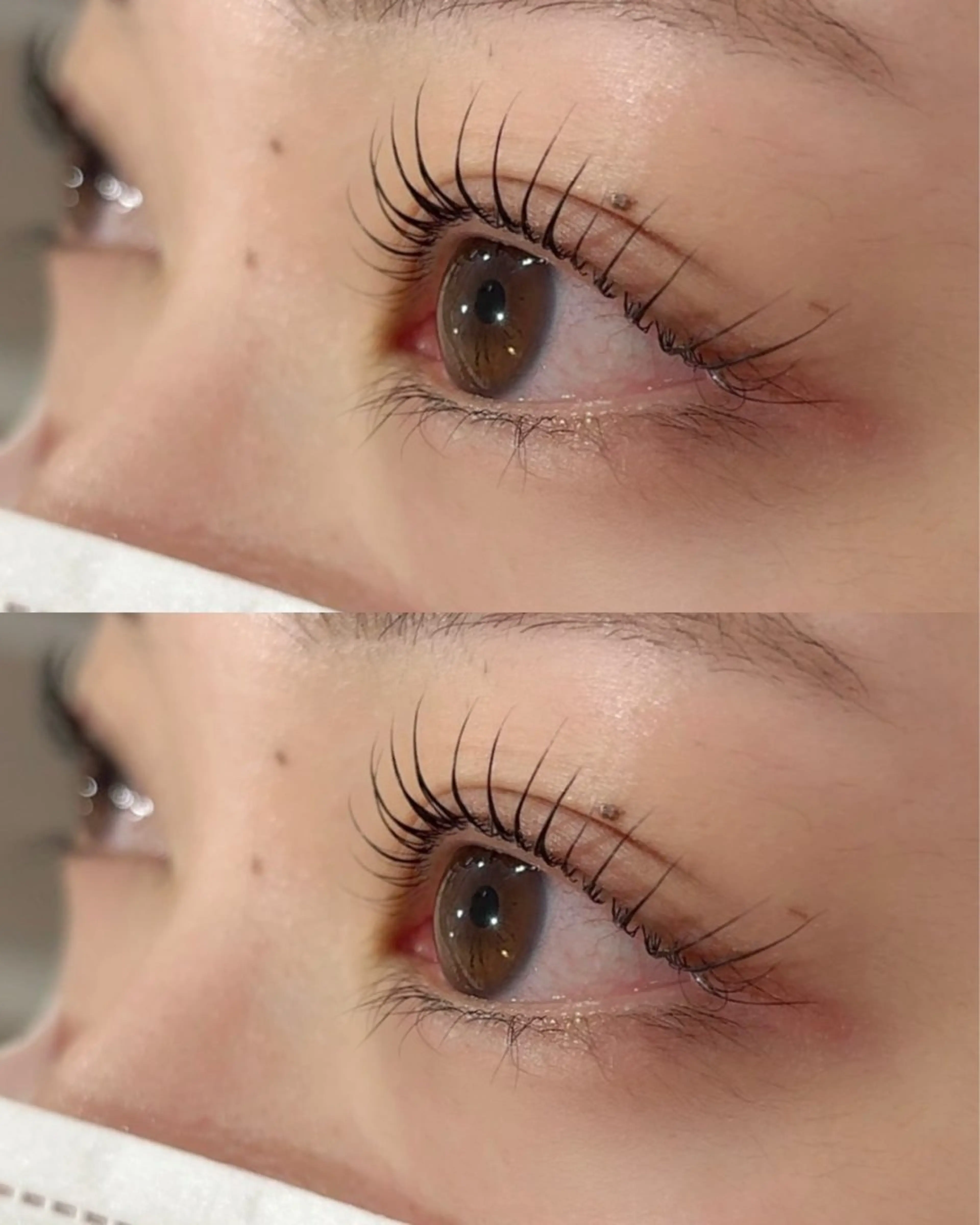 【5/1~10限定‼️】🎀まつ毛パーマ練習モデル(⚠️マツエクオフ無し❌)の写真