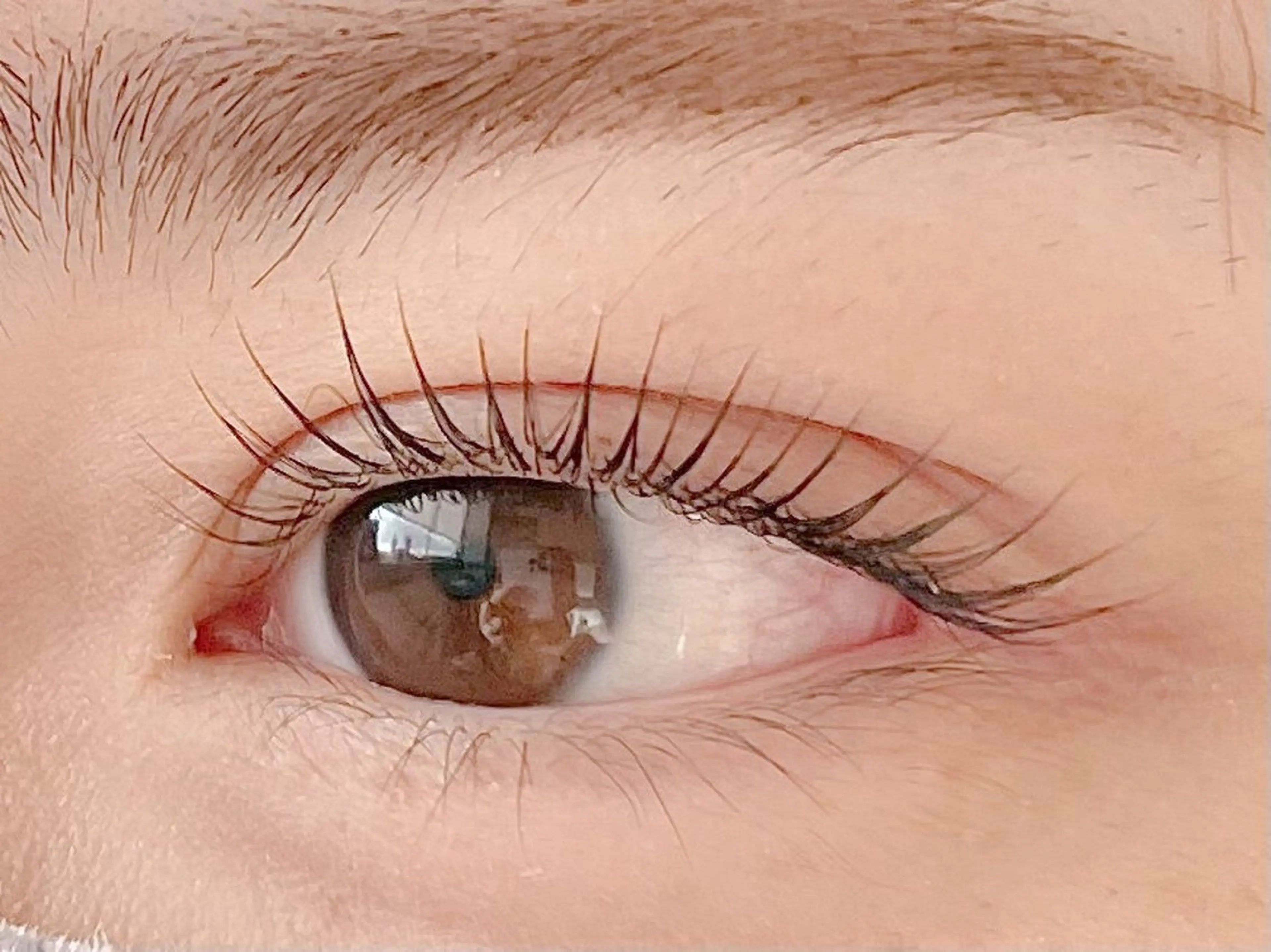 まつげパーマ&美眉スタイリング(パリジェンヌ、メーテルも可)※メンズはメンズ専用サロンへご来店ください!の写真