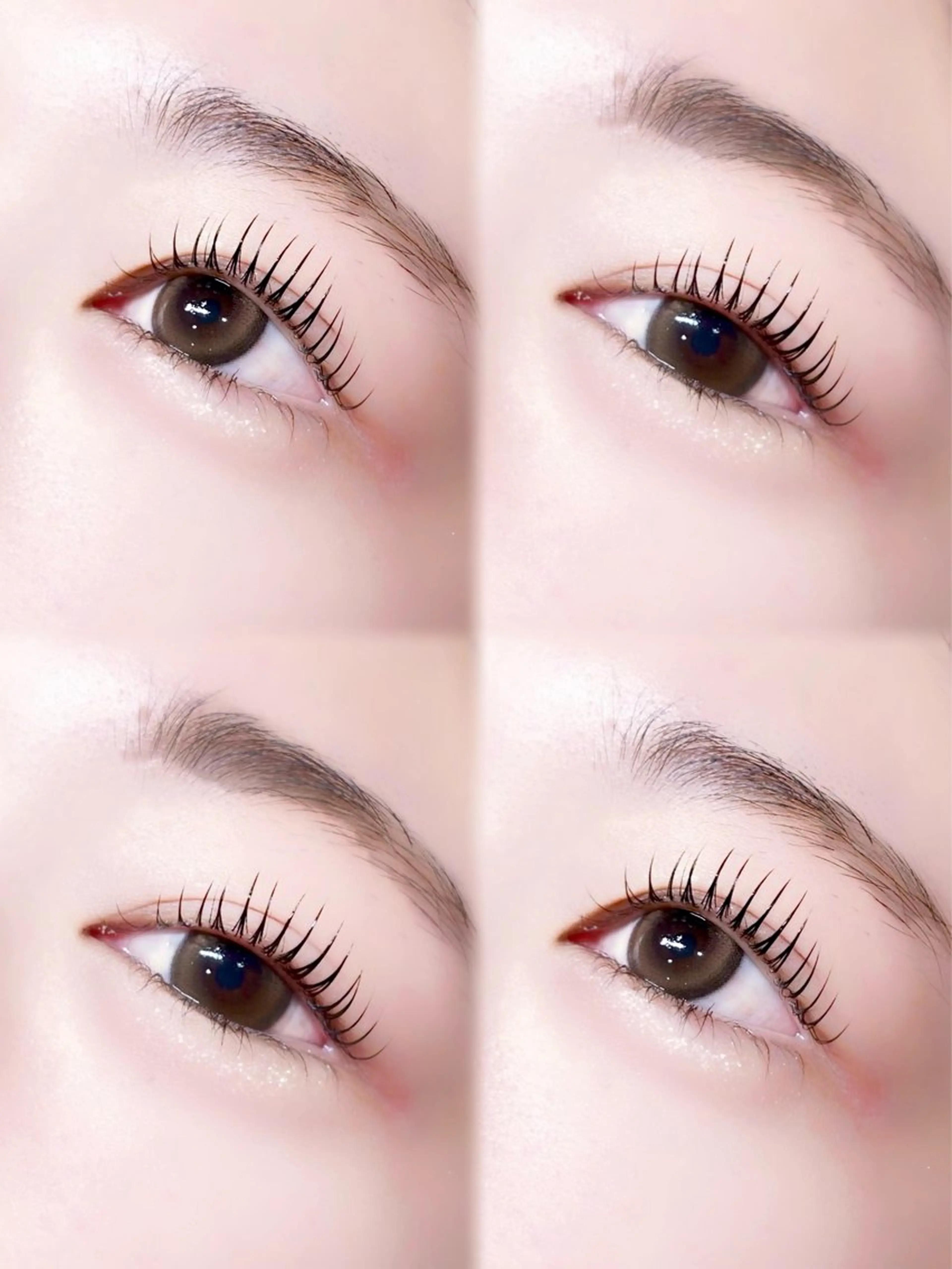 🩷パリジェンヌラッシュリフト🩷【トリートメント付き🪄︎︎✨】の写真