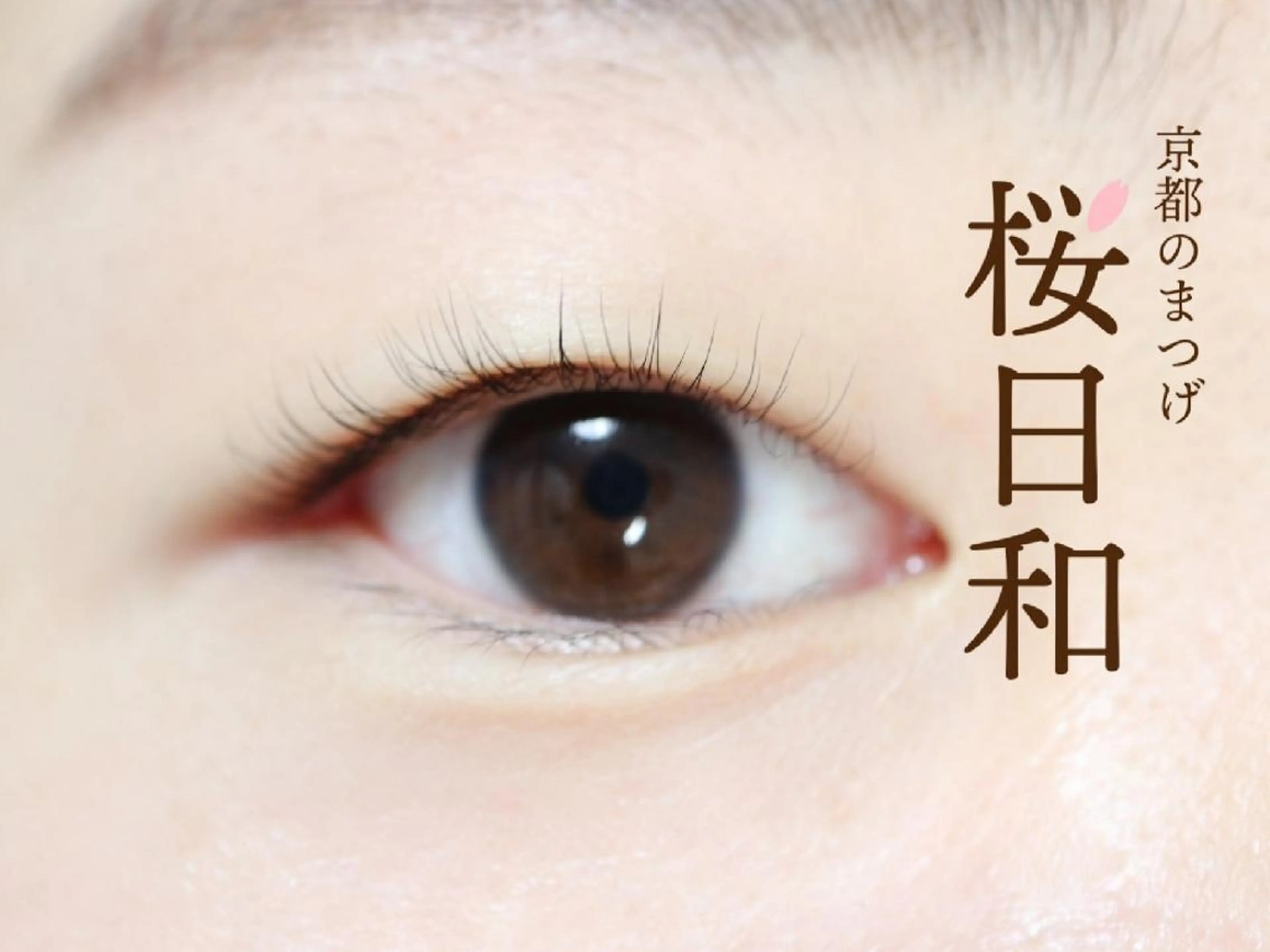 マツエク・マツパ フラットラッシュ Lカール まつげパーマ 一重×まつ毛パーマ ボリュームラッシュ 京都のまつげ桜日和 小島美桜のマツエク・マツパデザイン