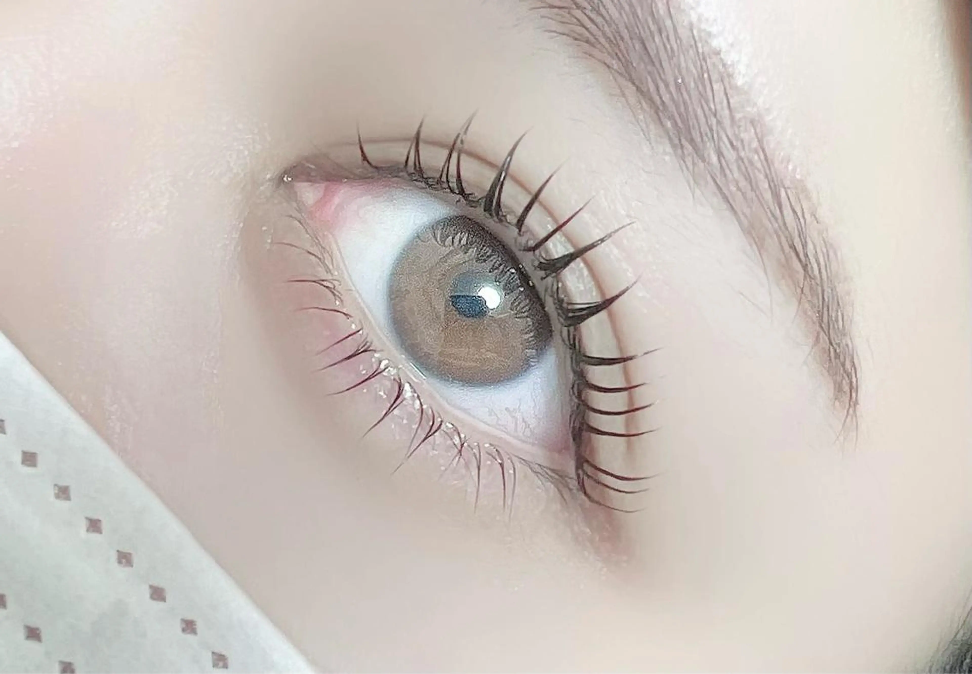 マツエク・マツパ マツパ 【那覇/束感まつ毛 /LED】ｷｬﾒﾙのマツエク・マツパデザイン