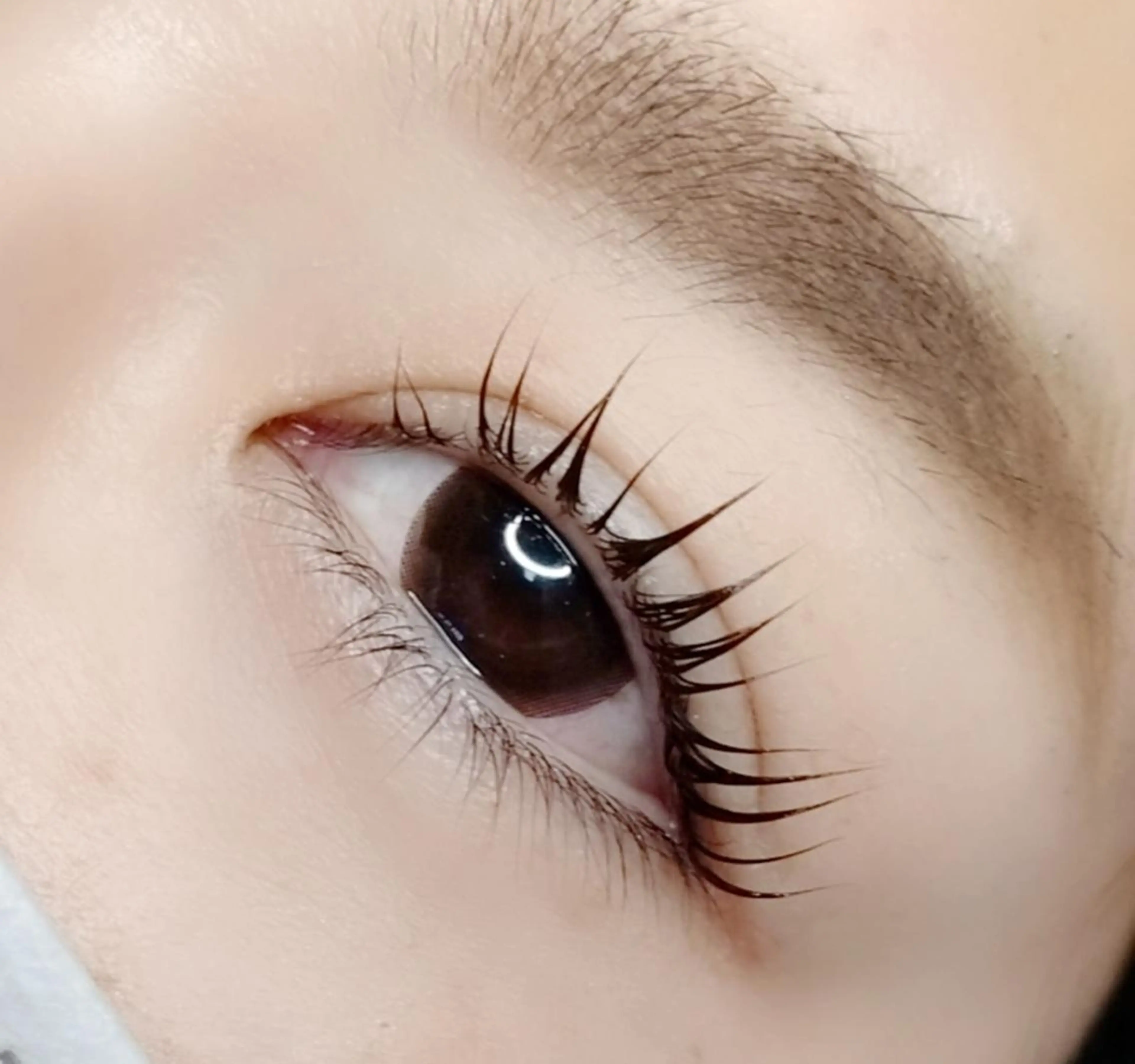 マツエク・マツパ ナチュラル 一重×まつ毛パーマ マツパ maison calmeのマツエク・マツパデザイン