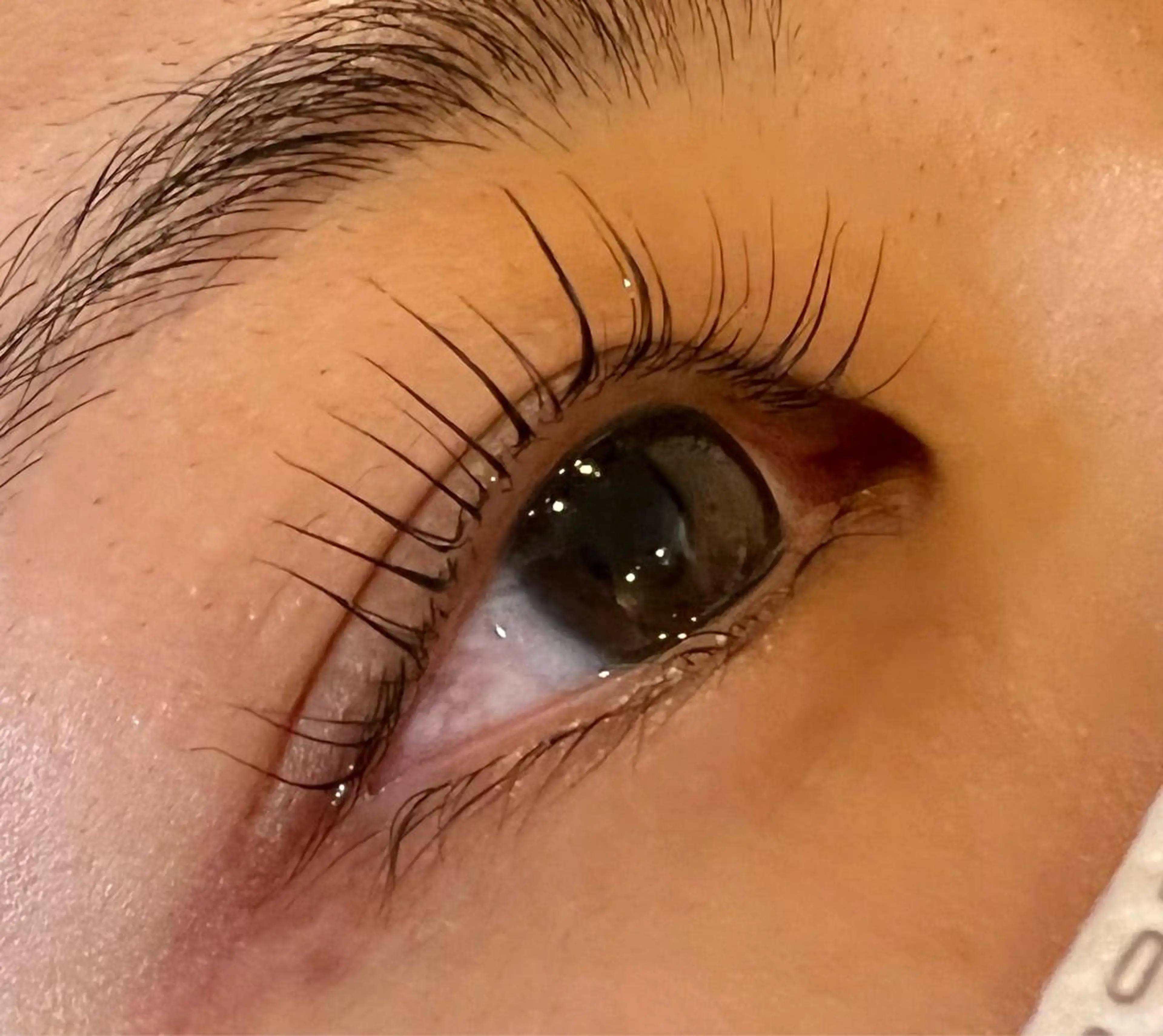 マツエク・マツパ 🍭海外ヘア/レイヤ ー/艶髪🍭舟橋瑞稀のヘアスタイル