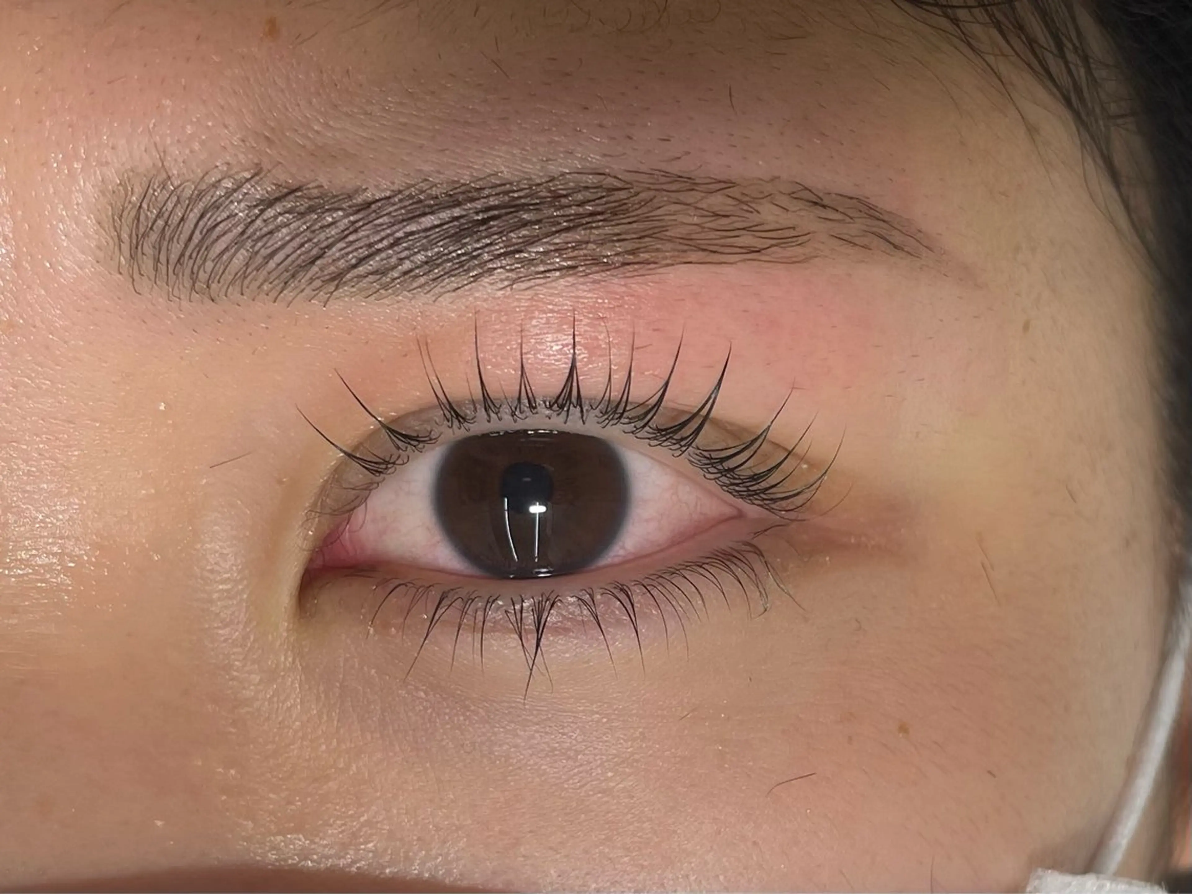 マツエク・マツパ まつげパーマ 下まつげエクステ Lukia MOMOのマツエク・マツパデザイン