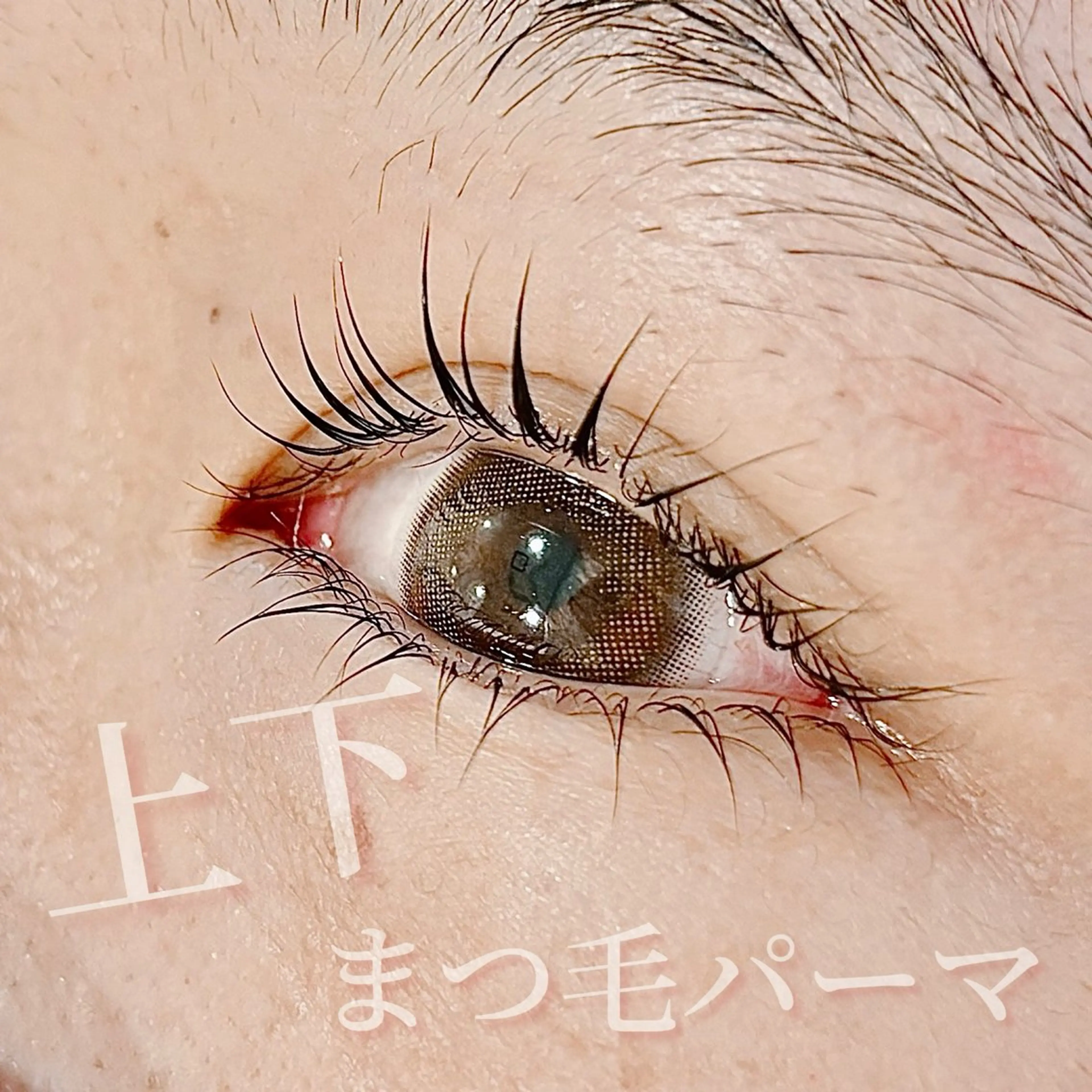 マツエク・マツパ まつげパーマ 下まつげエクステ ✧elpatio✧︎ 小出紗羅のマツエク・マツパデザイン