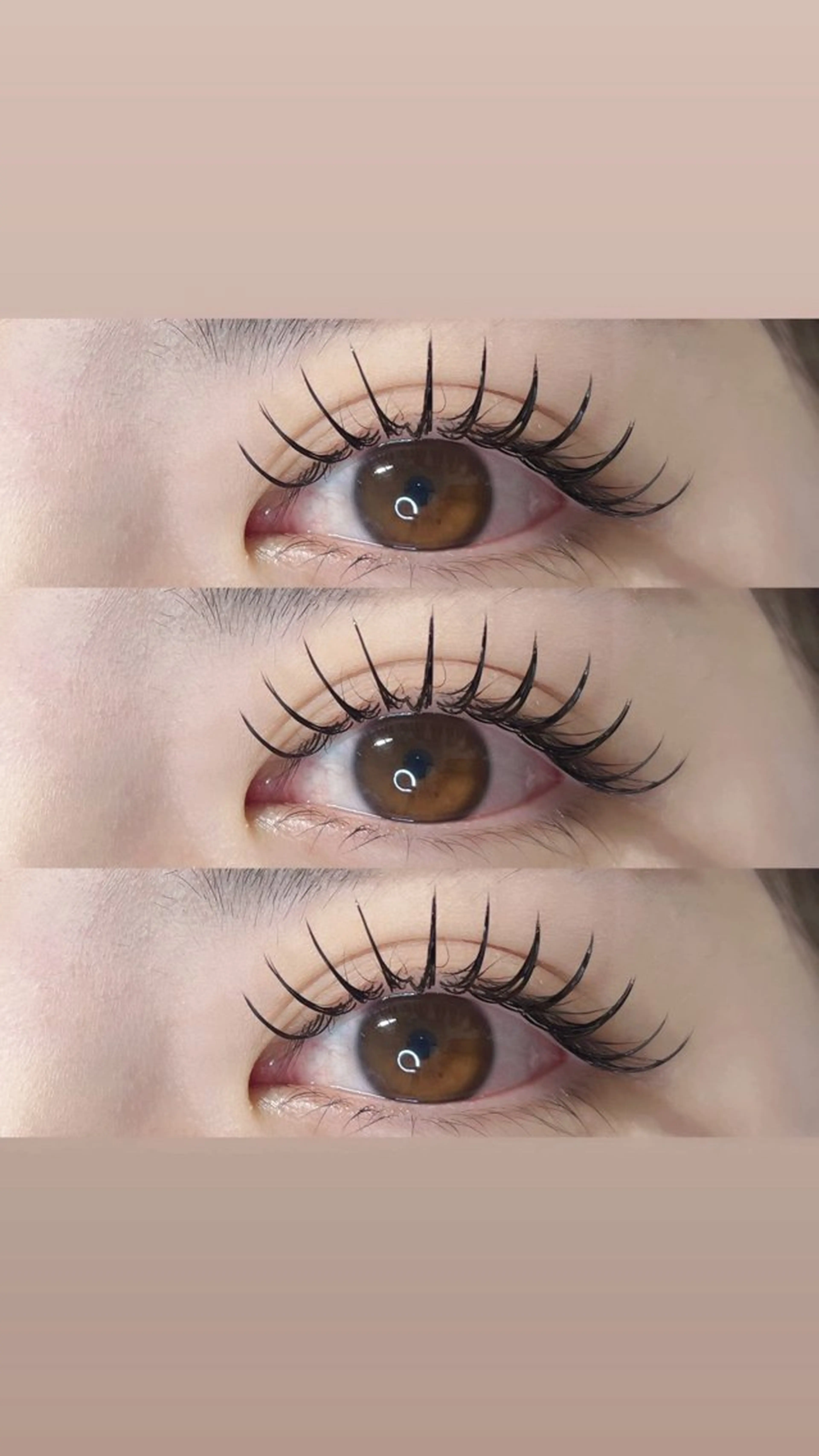 フラットラッシュ付け放題❕(オフ込み)の写真