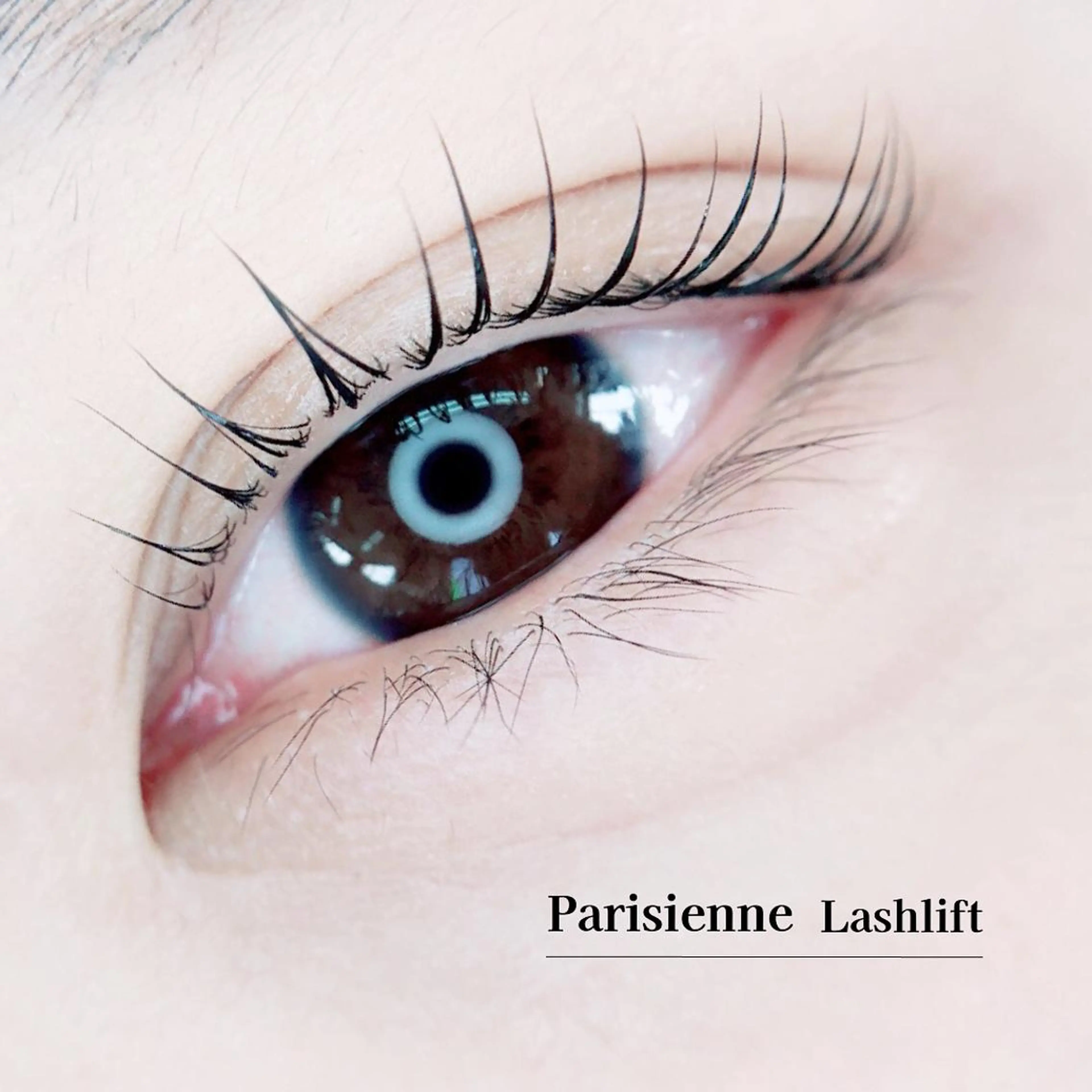 【新規】🍭MIGNONラッシュリフト🍭4,980円✨の写真