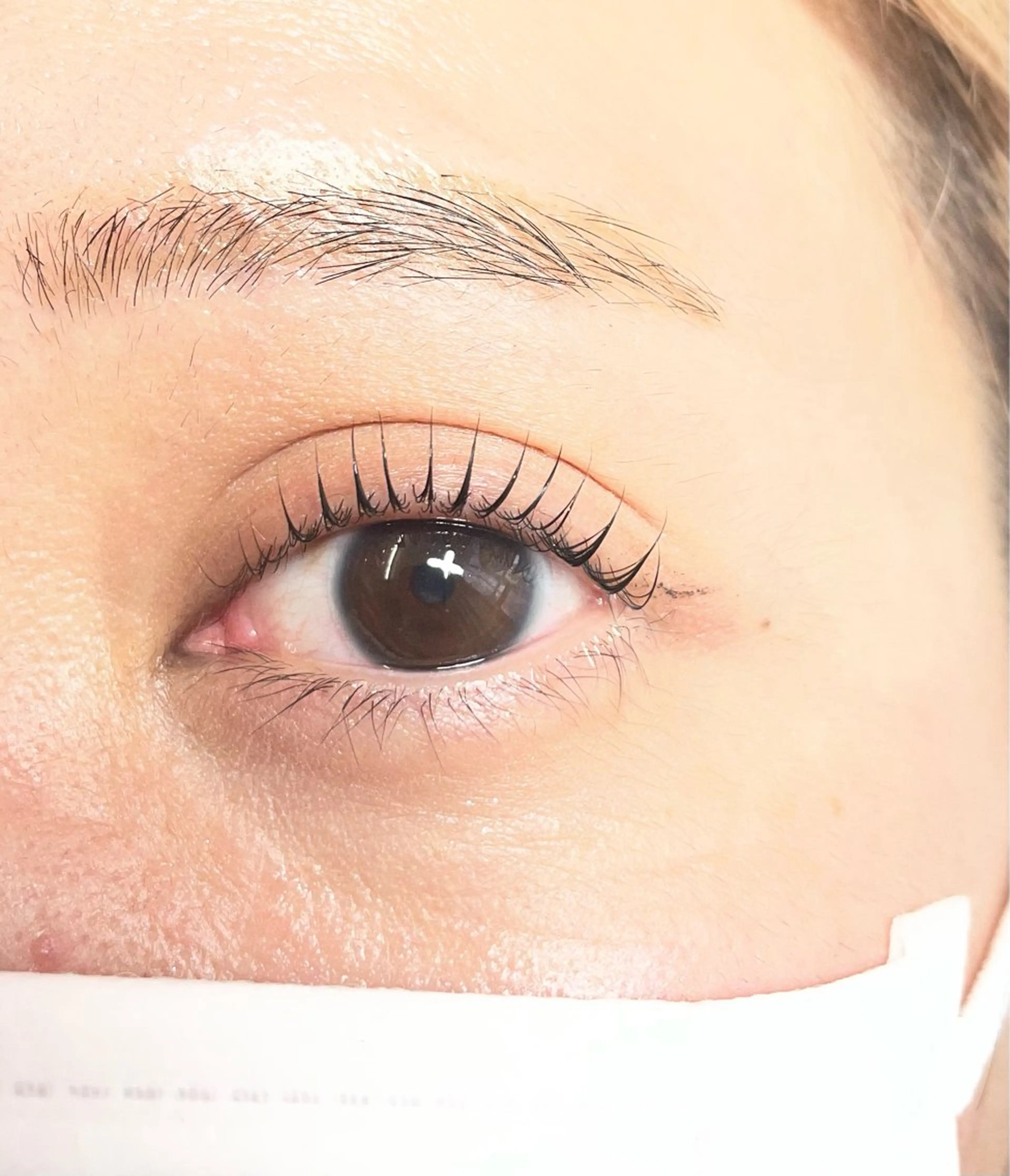 マツエク・マツパ マツパ eyelash CLAYの眉毛・アイブロウイメージ
