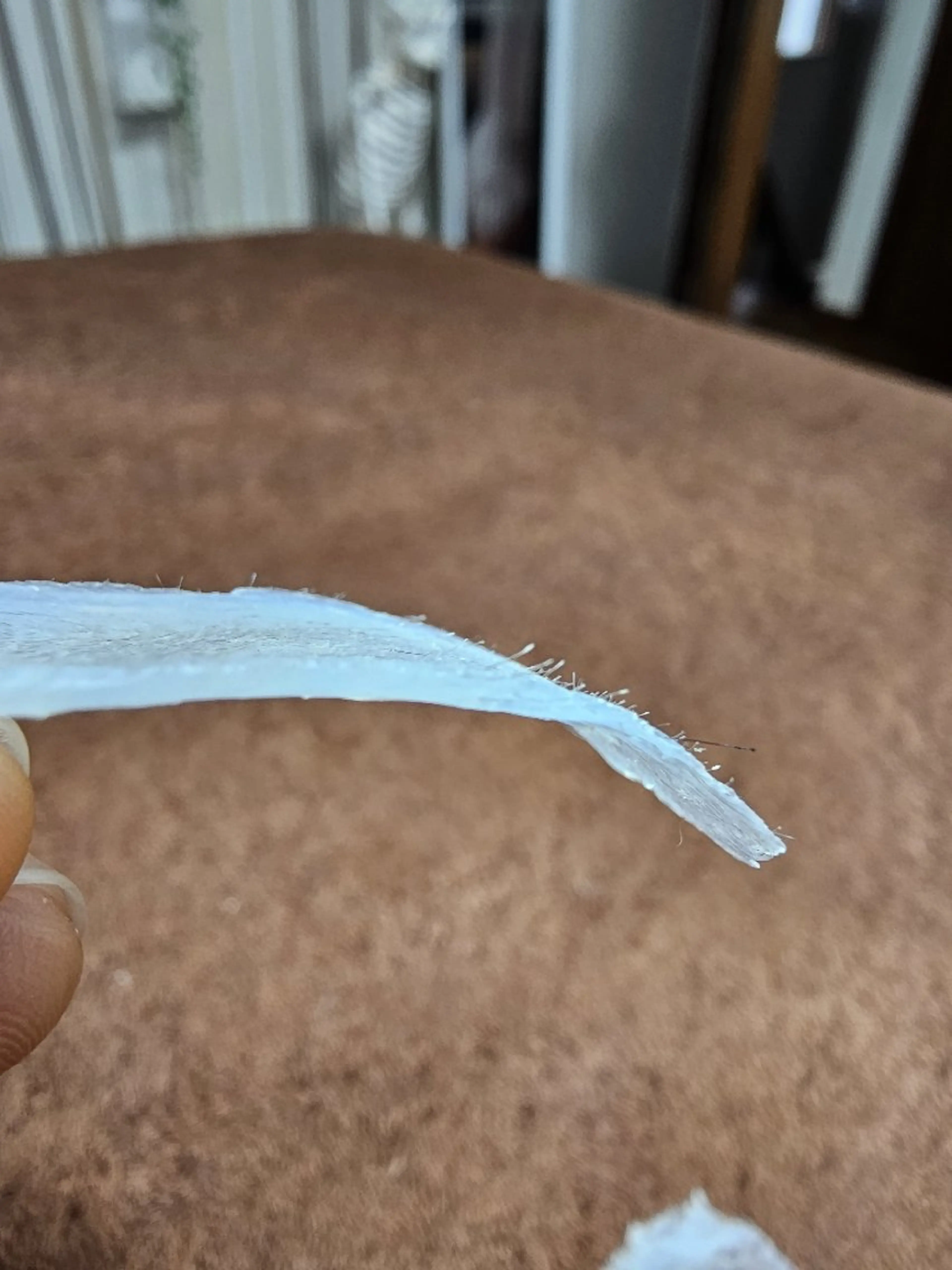 プライベートサロン Rilasisのエステ・リラクイメージ