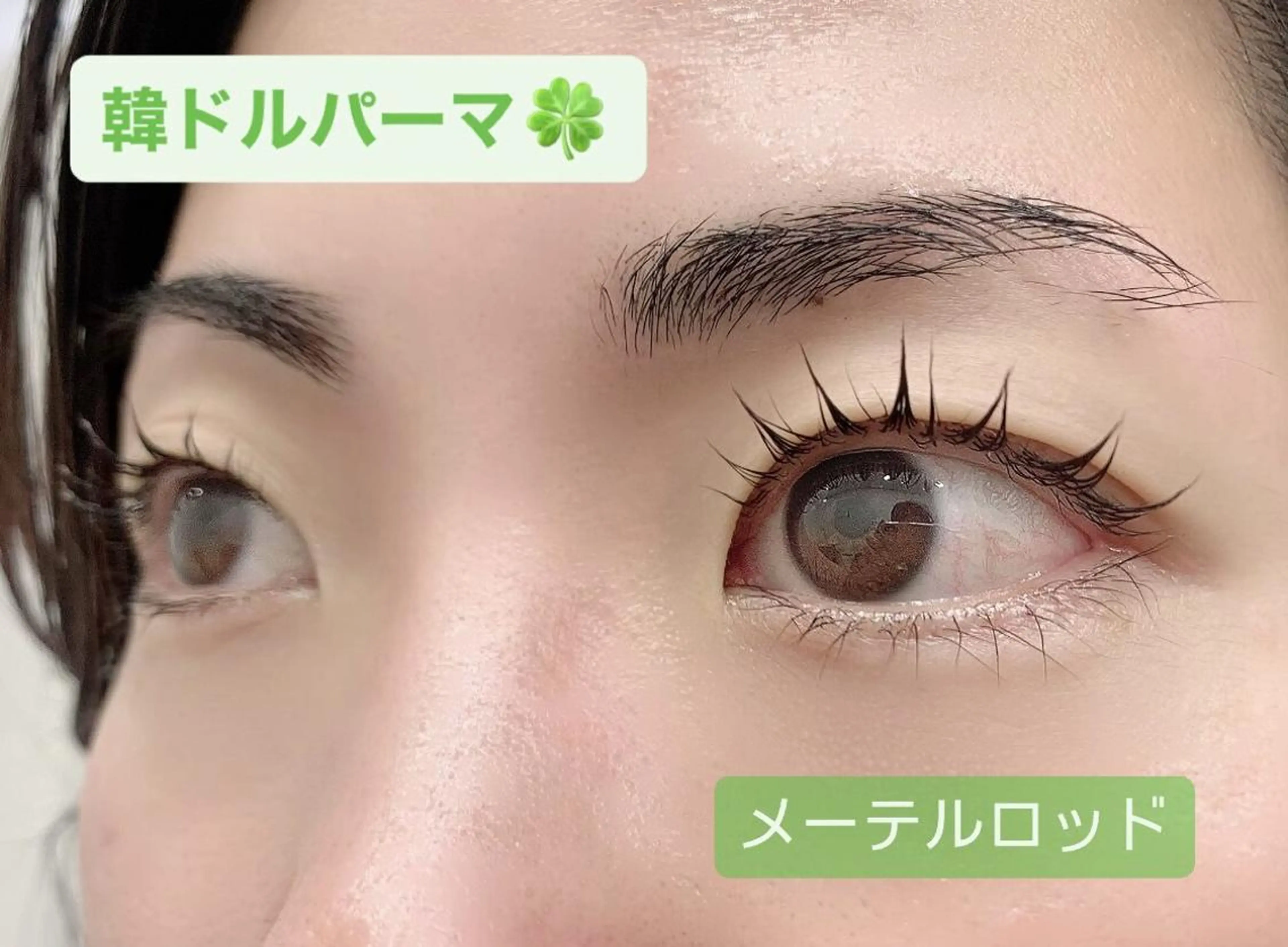 マツエク・マツパ プラスアイ 蒲田西口店のマツエク・マツパデザイン