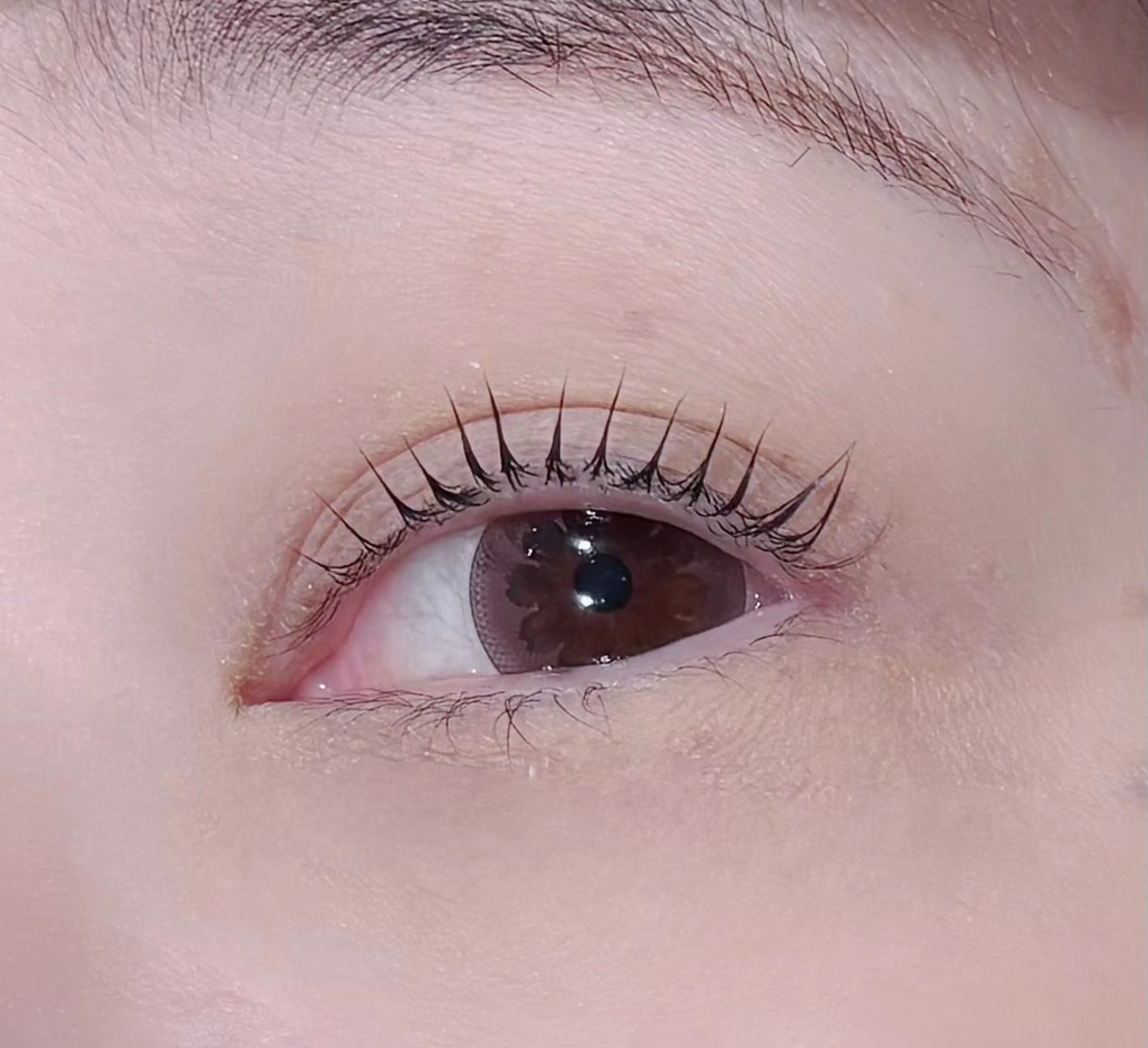 マツエク・マツパ ナチュラル 一重×まつ毛パーマ マツパ 寒色/デザインカラー 🪽_マヒルのマツエク・マツパデザイン